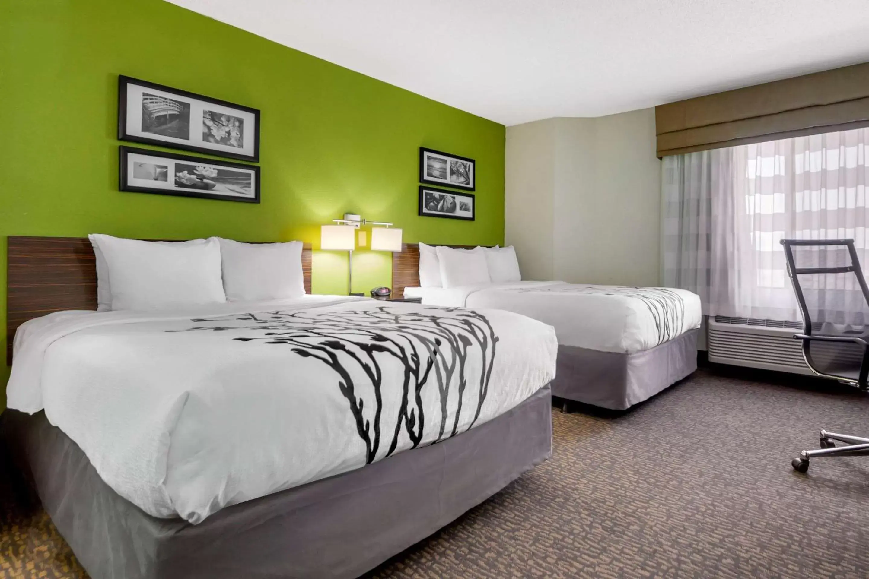 Photo of the whole room, Bed in Sleep Inn By Choice Hotels