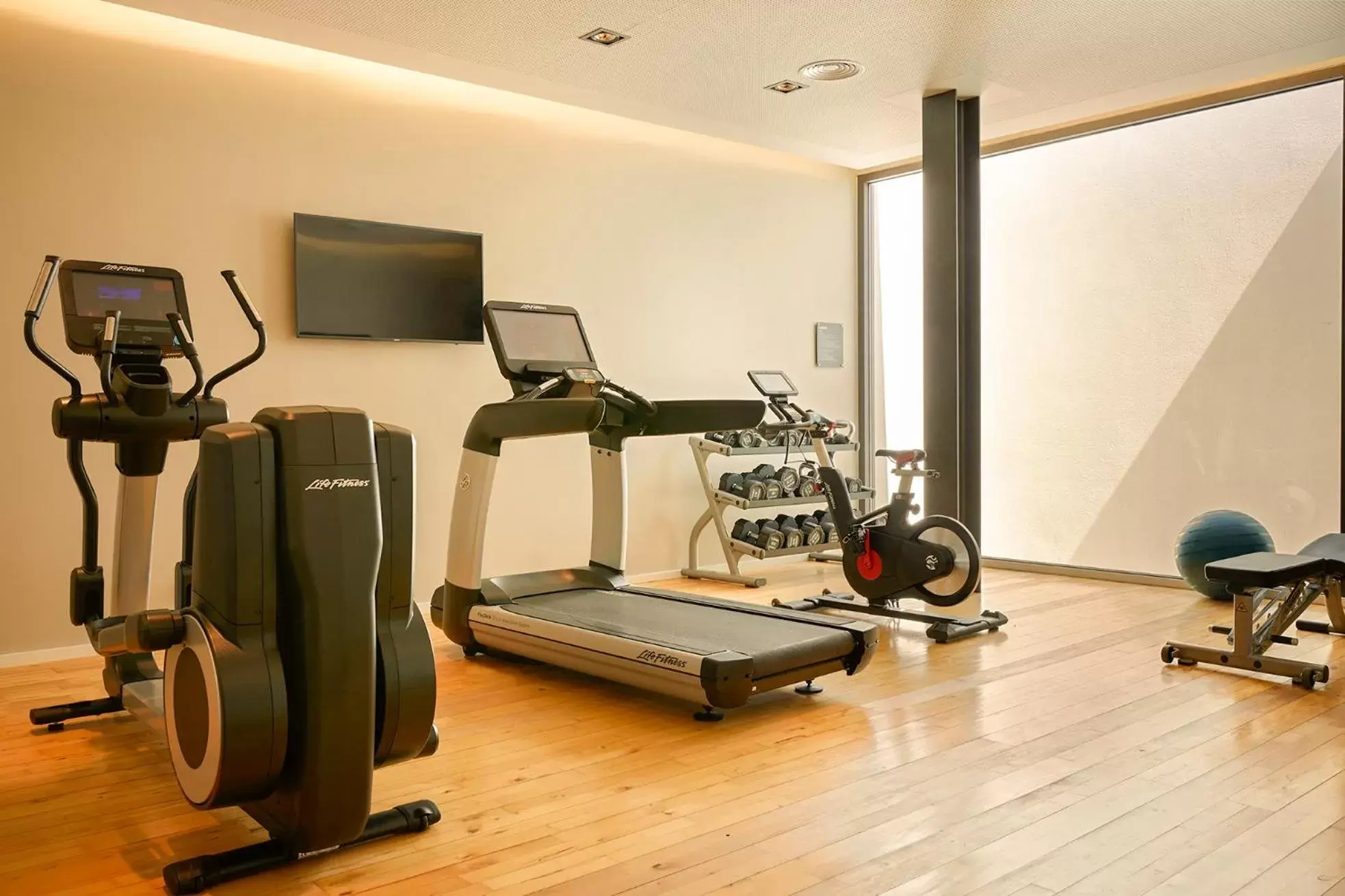 Sports, Fitness Center/Facilities in Octant Evora