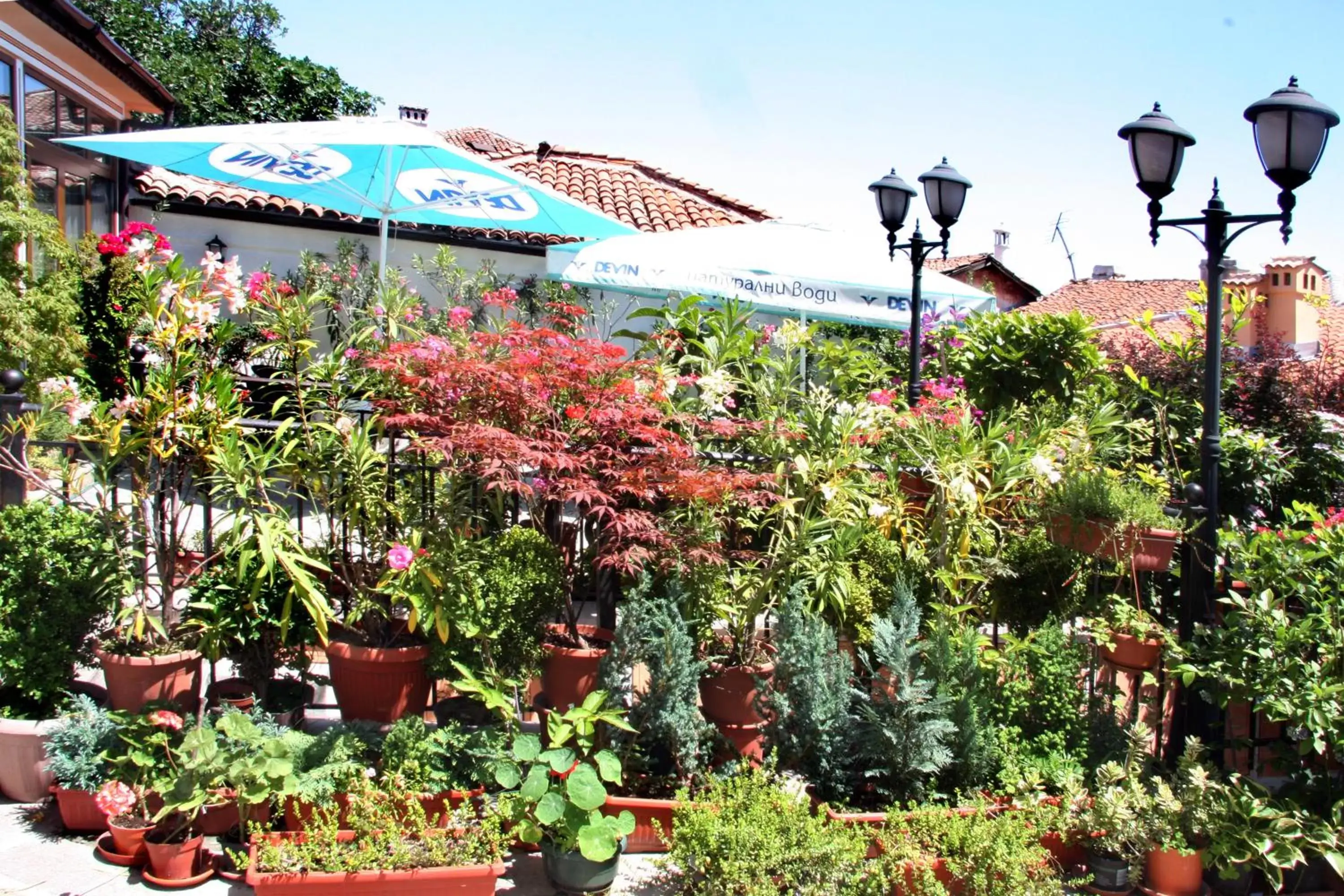 Garden in Hotel Alafrangite