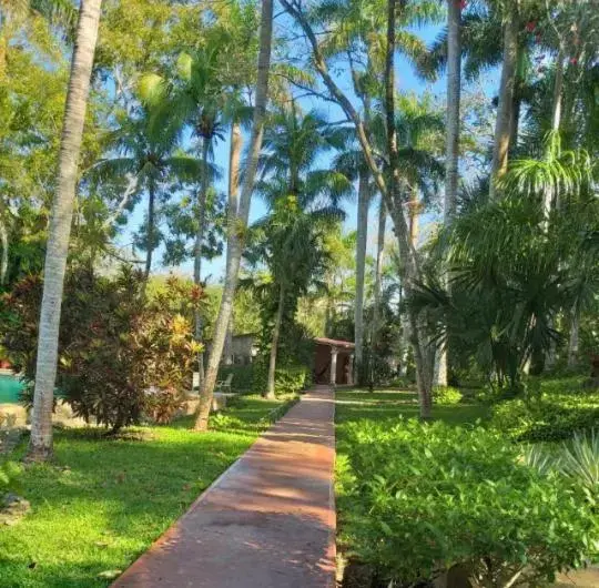 Garden in Hacienda Chichen Resort and Yaxkin Spa