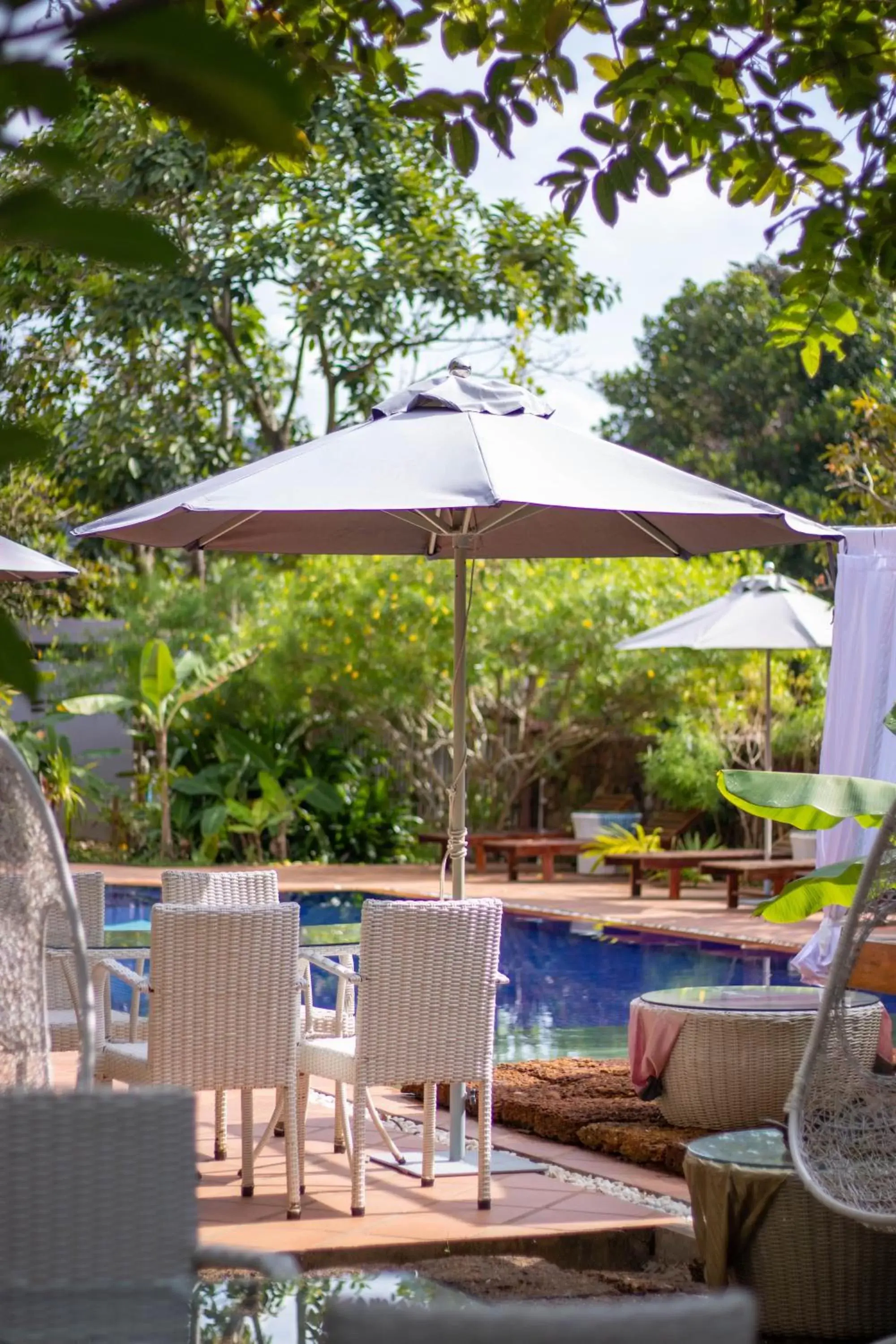 Pool view, Swimming Pool in TARA LODGE Haven of peace