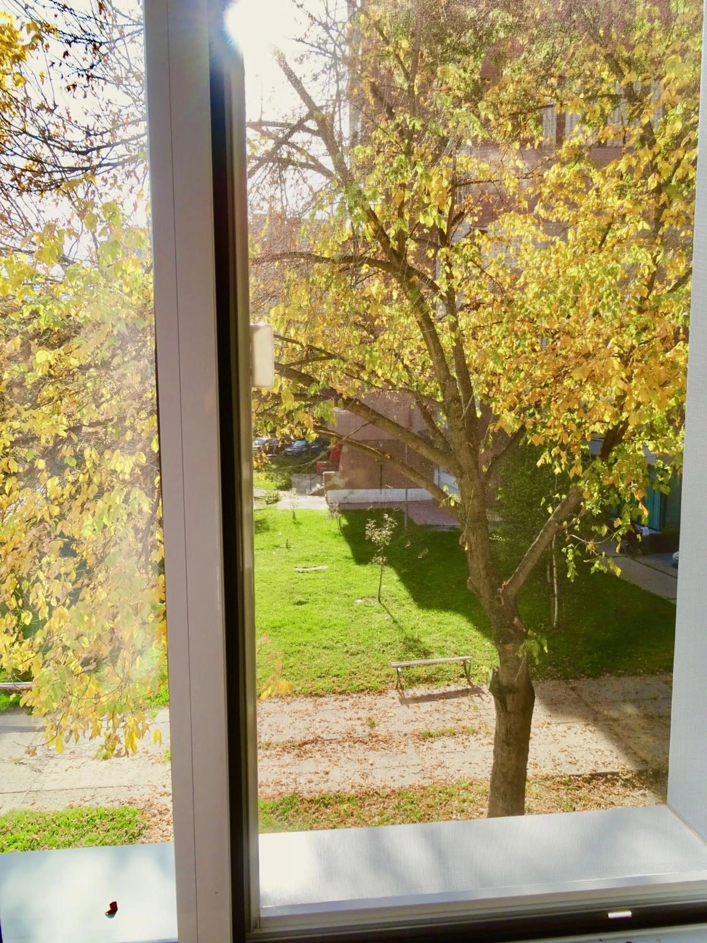 Decorative detail in Family Hotel Dalis