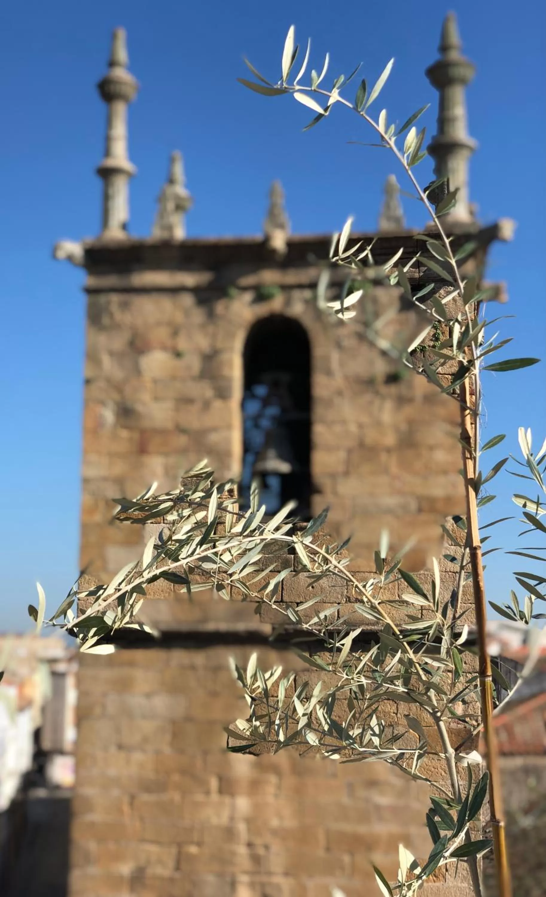 Other in Hotel La Encomienda