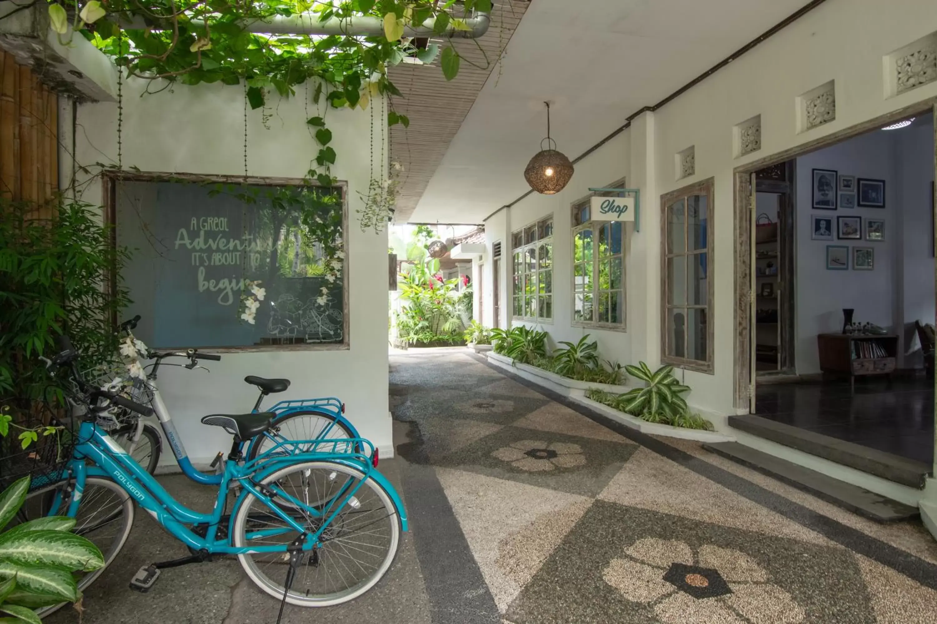 Garden in Sanur House