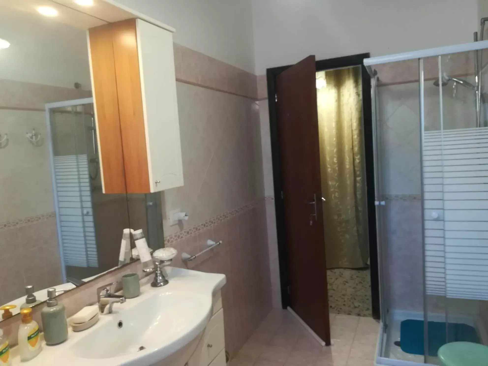 Shower, Bathroom in Domus Aurea