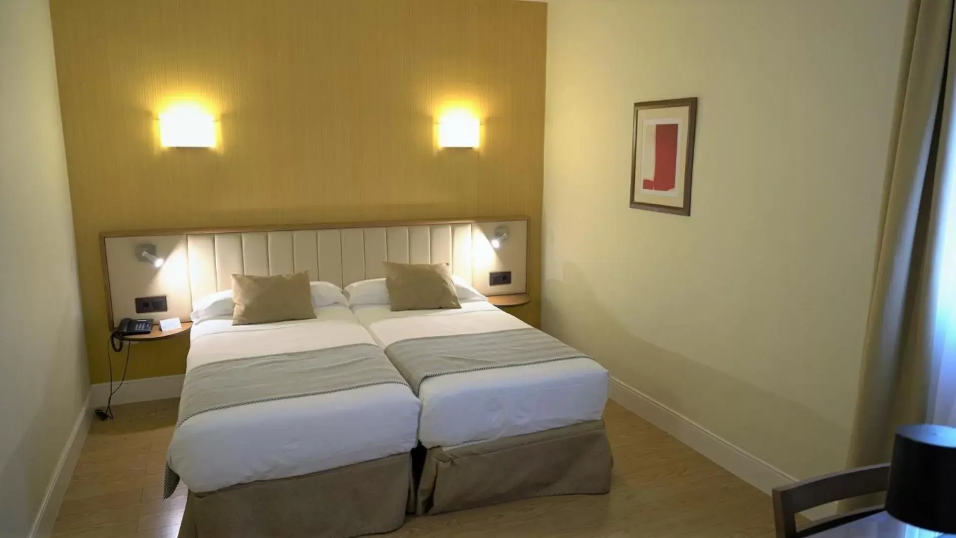 Double or Twin Room in Hotel Los Condes