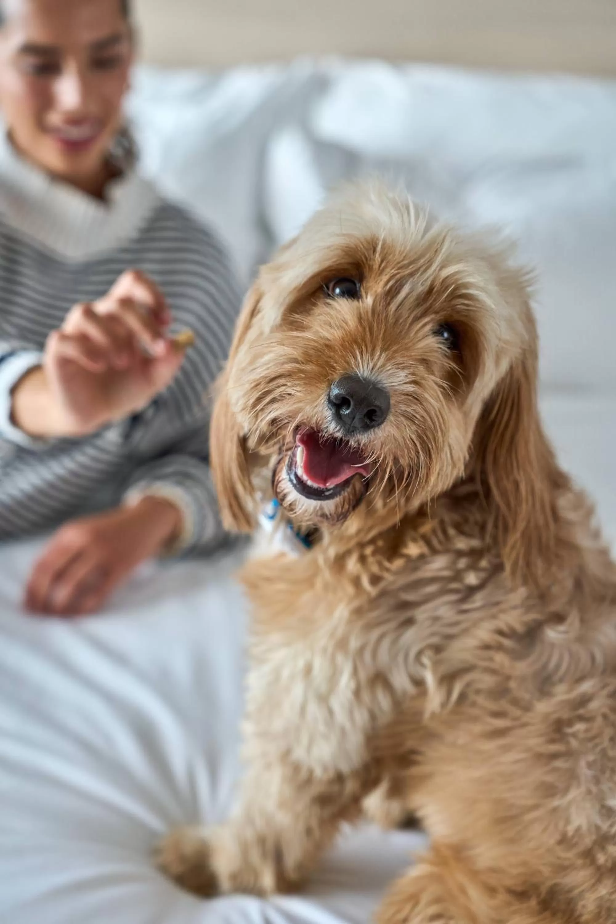 People in Pullman Vina del Mar San Martin