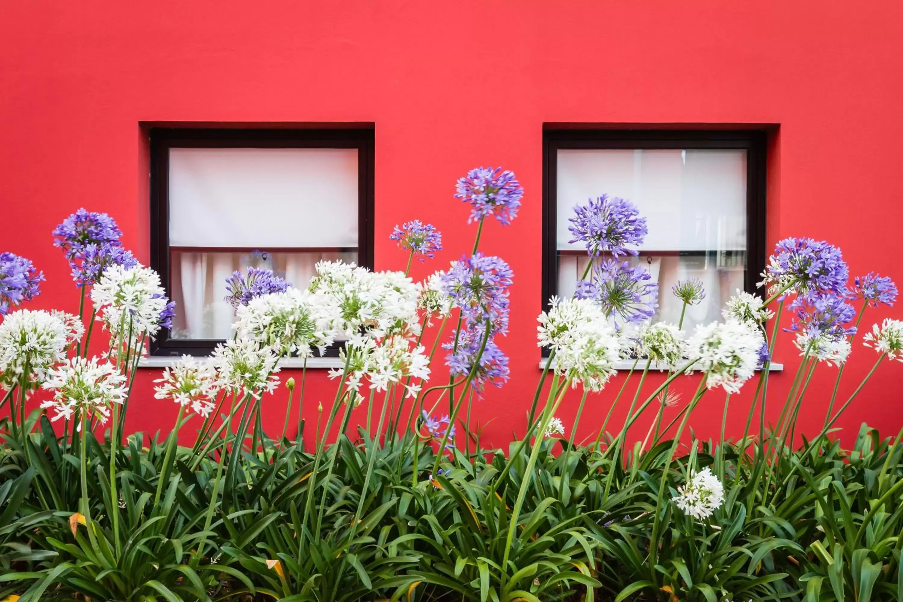 Garden in Hotel Ibis Lisboa Sintra