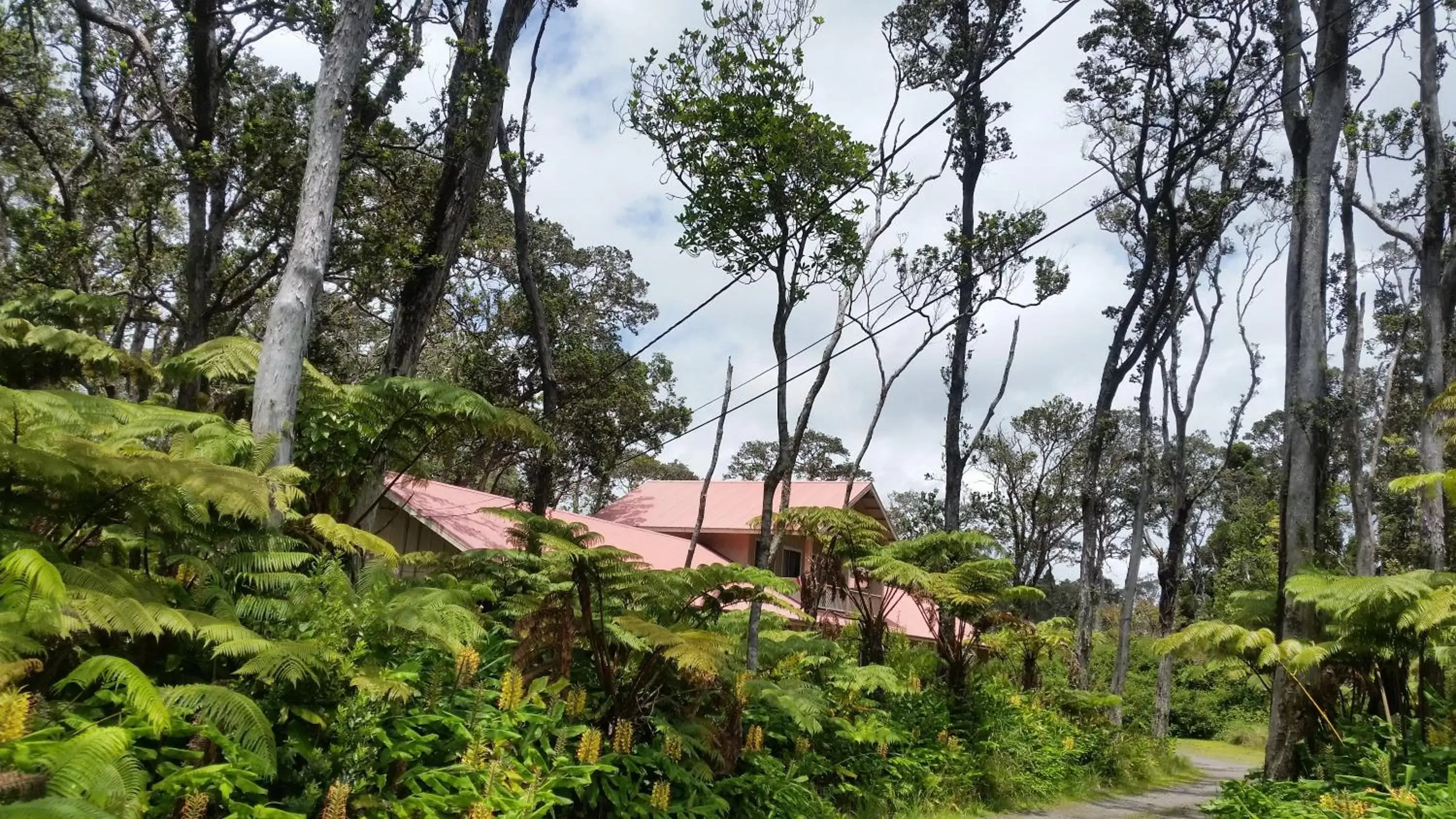 Property building in Volcano Forest Inn