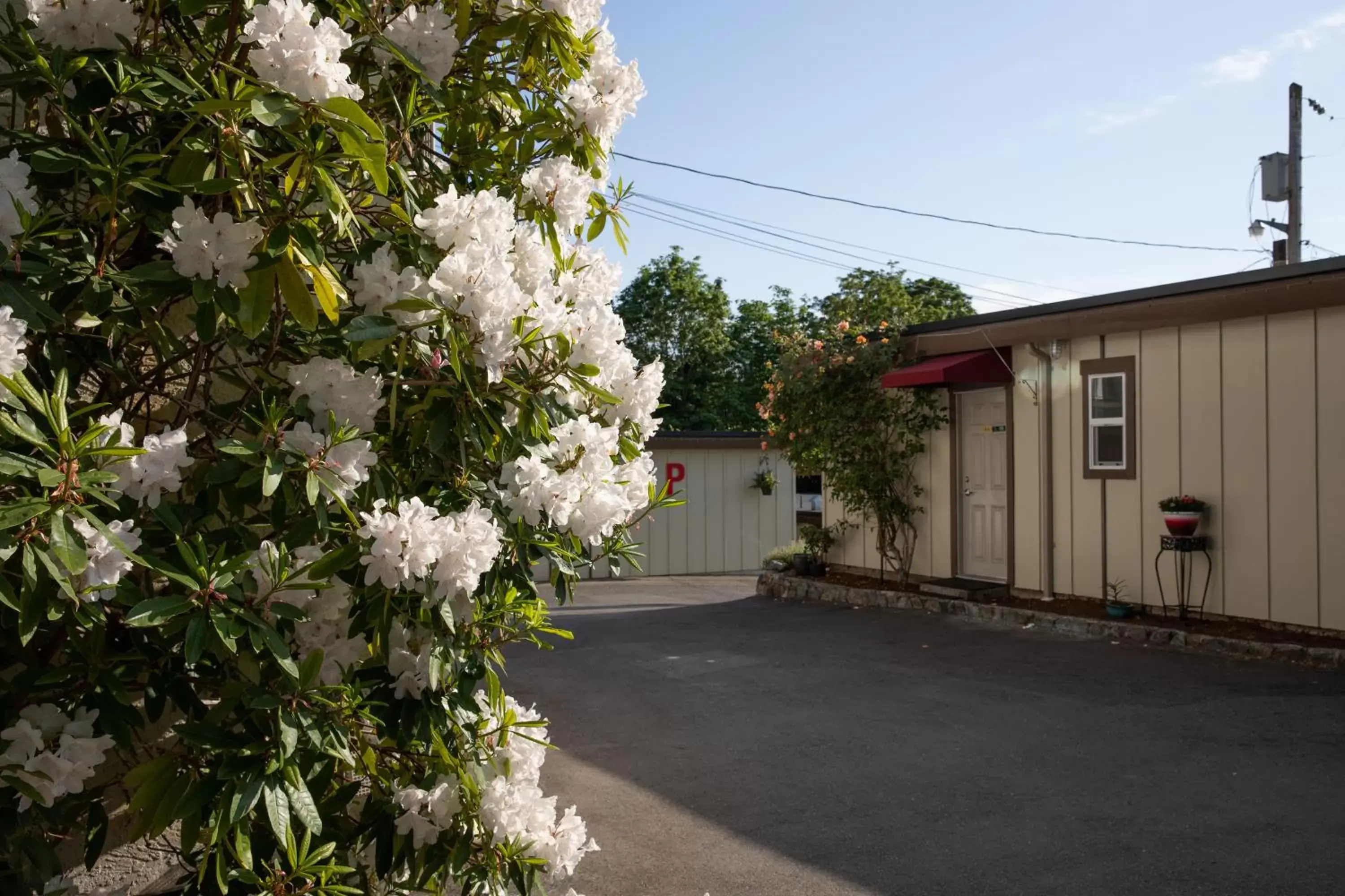 Property Building in Cherry Tree Inn