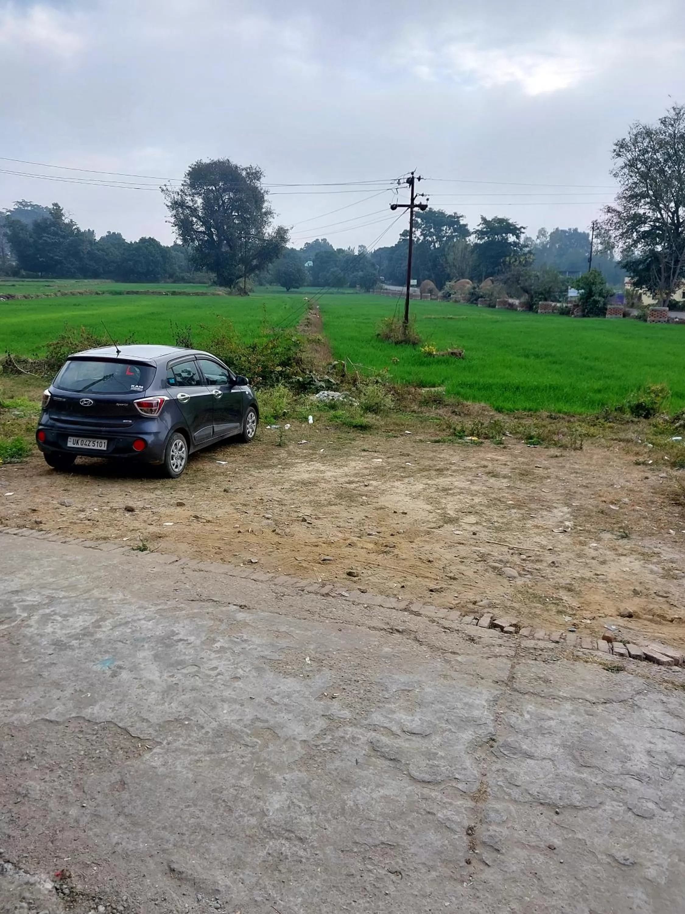 Parking in The Corbett Jungle By JitaInn