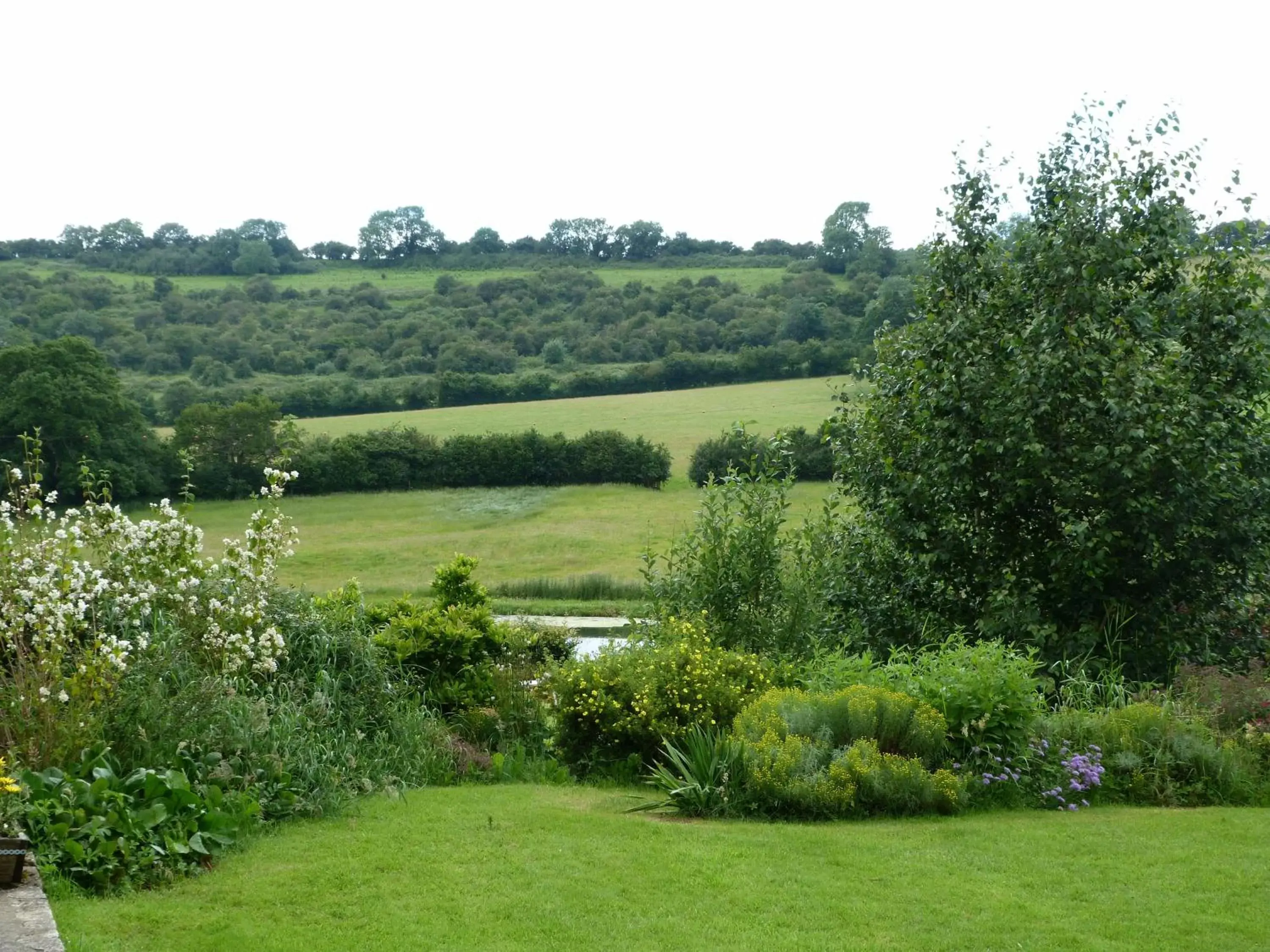 Day, Garden in Cameley Lodge - Self Catering