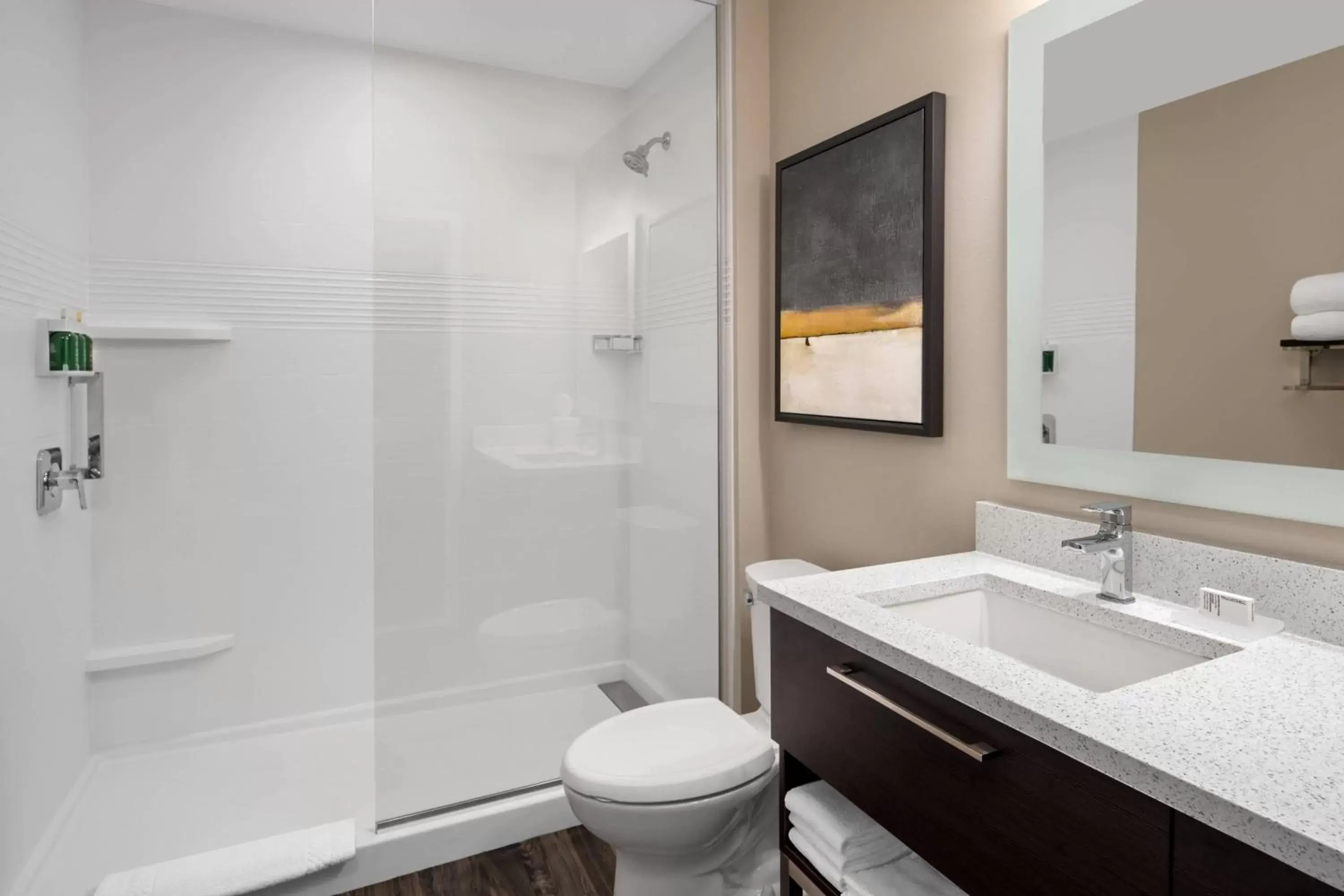 Bathroom in TownePlace Suites by Marriott Twin Falls