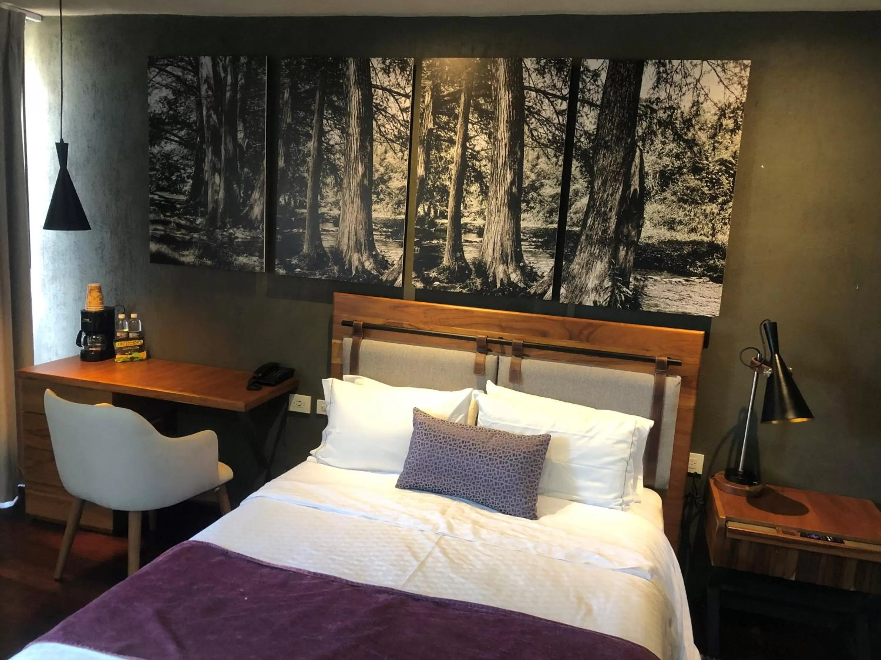 Bed in Gamma Monterrey Rincon de Santiago