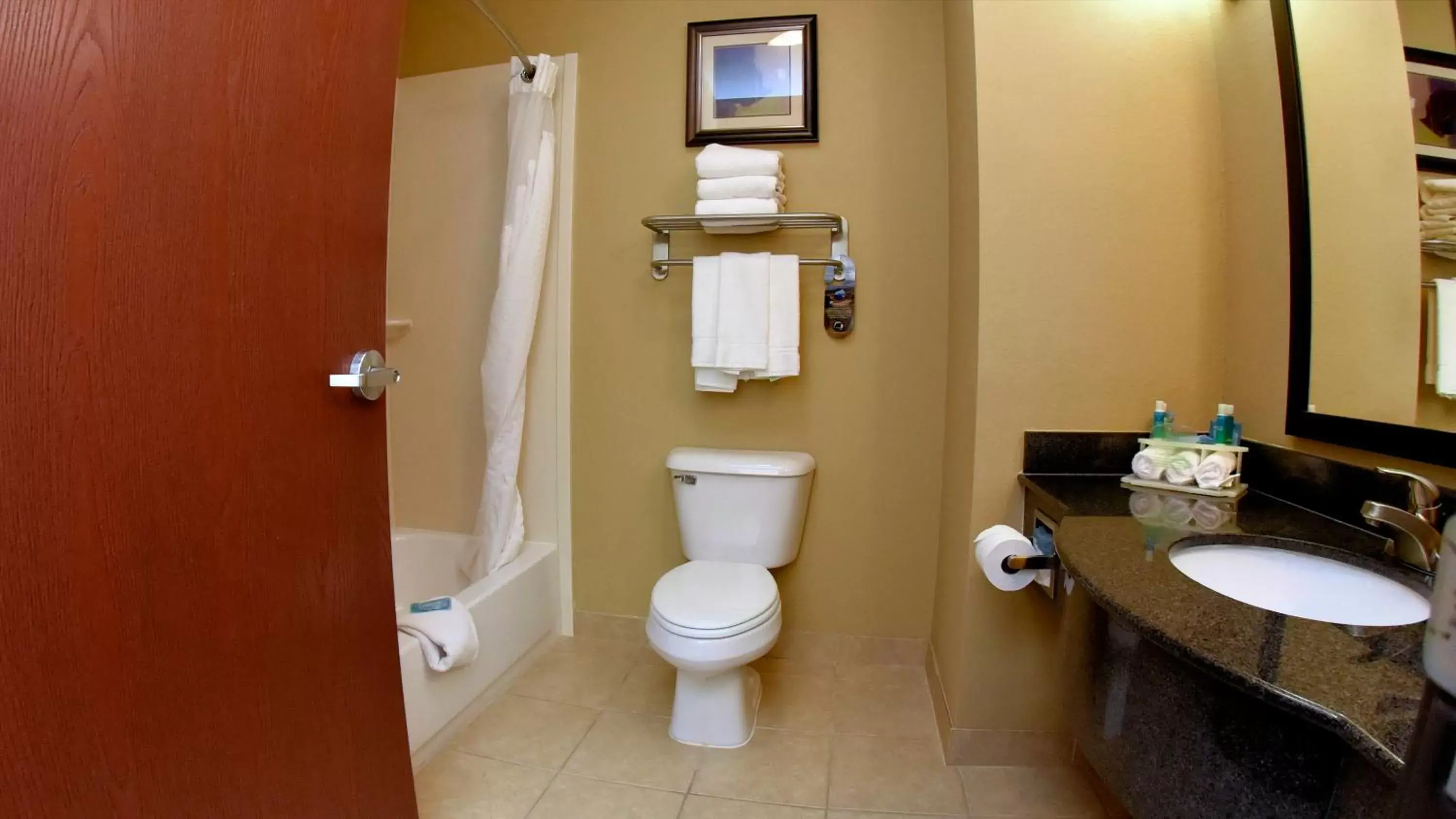 Bathroom in Holiday Inn Express Baton Rouge North, an IHG Hotel