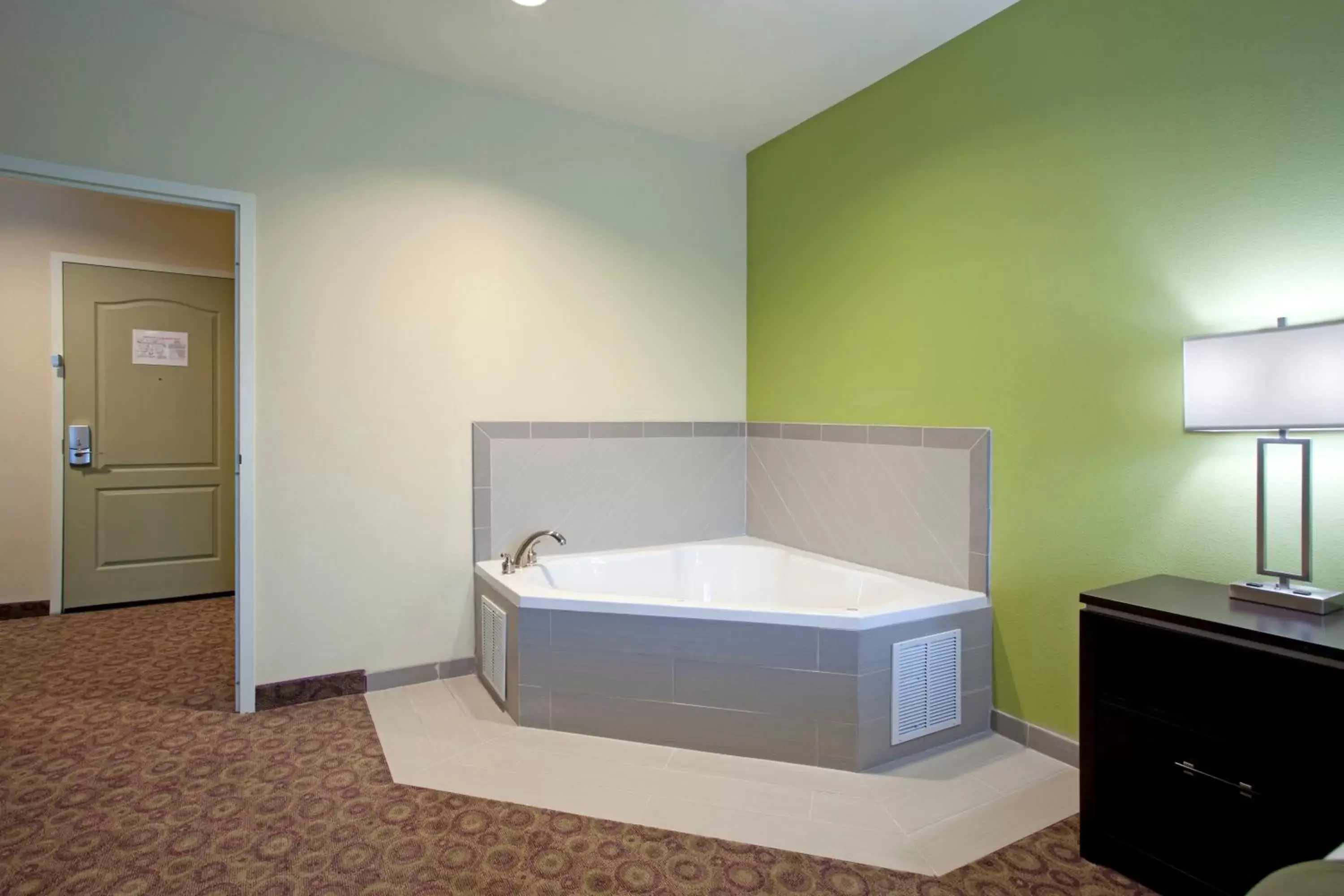 Photo of the whole room, Bathroom in Holiday Inn Express Hotel & Suites Clemson - University Area, an IHG Hotel