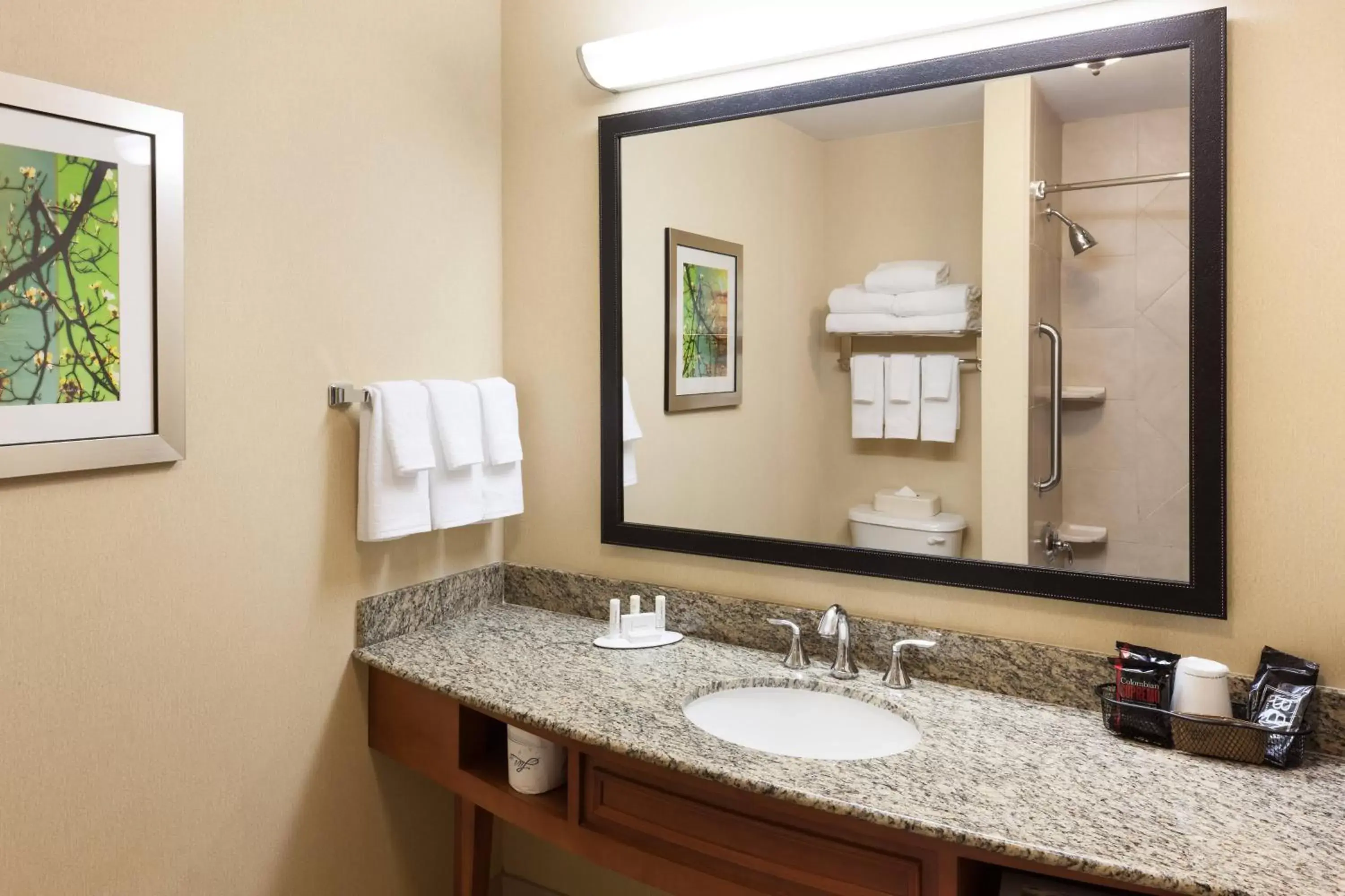 Bathroom in Fairfield Inn & Suites Jacksonville Butler Boulevard