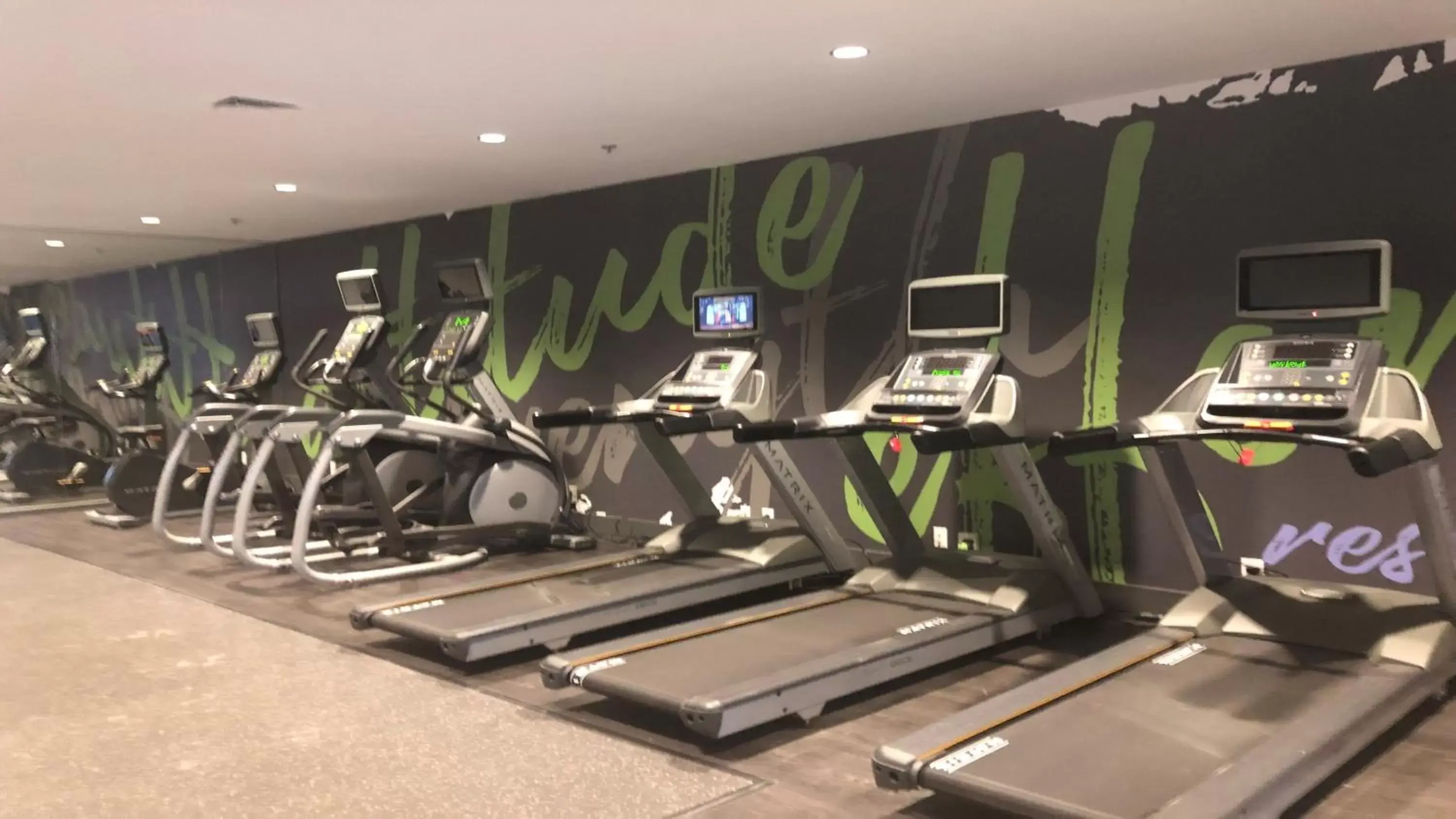 Fitness centre/facilities, Fitness Center/Facilities in Holiday Inn Roanoke Airport - Conference CTR, an IHG Hotel