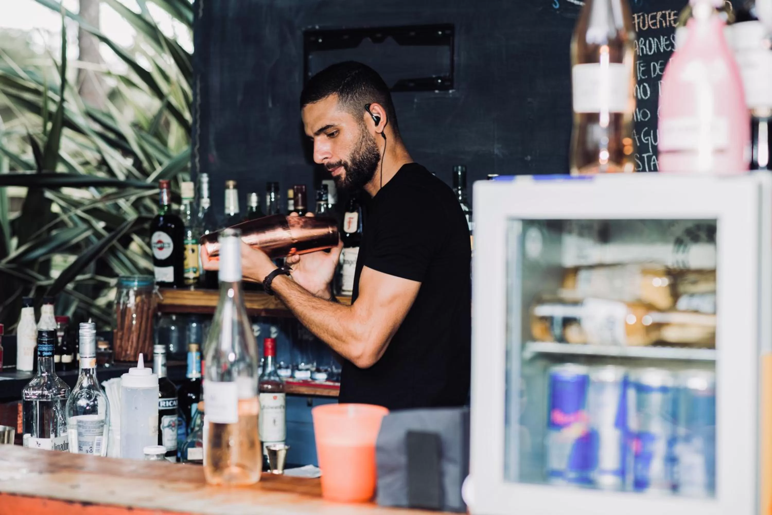 Lounge or bar in Monkey Lodge Panama