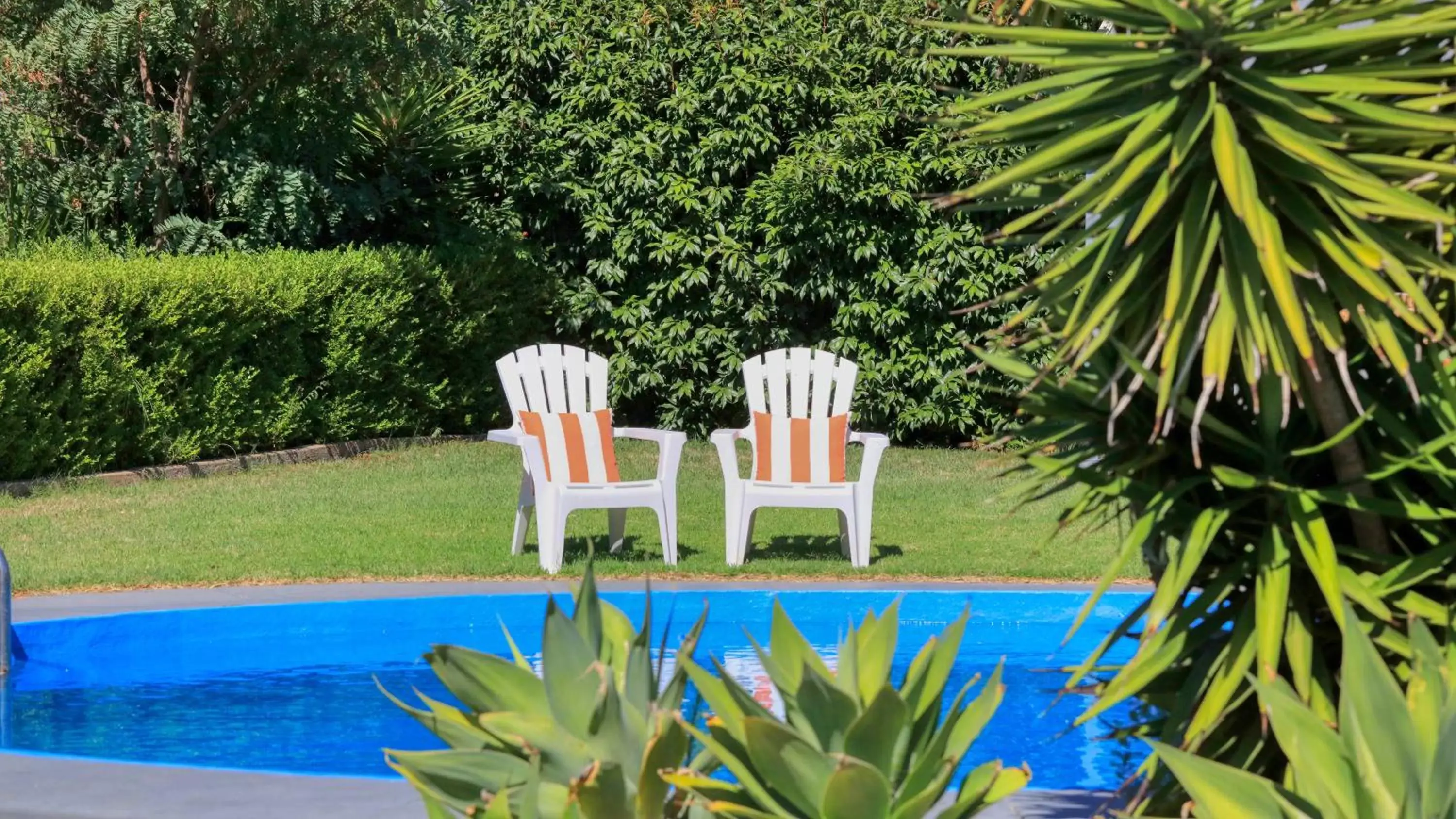 Swimming Pool in Country Leisure Motor Inn