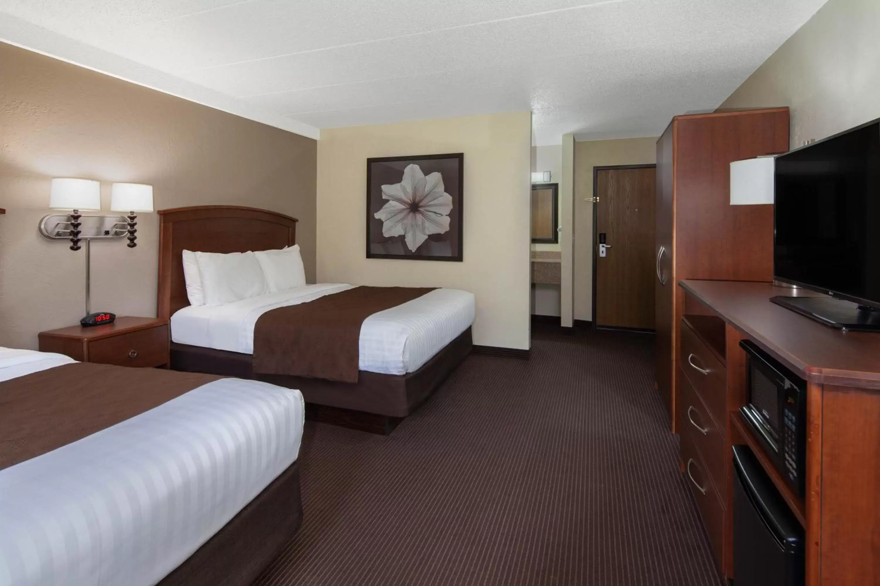 Photo of the whole room in AmericInn by Wyndham Ironwood