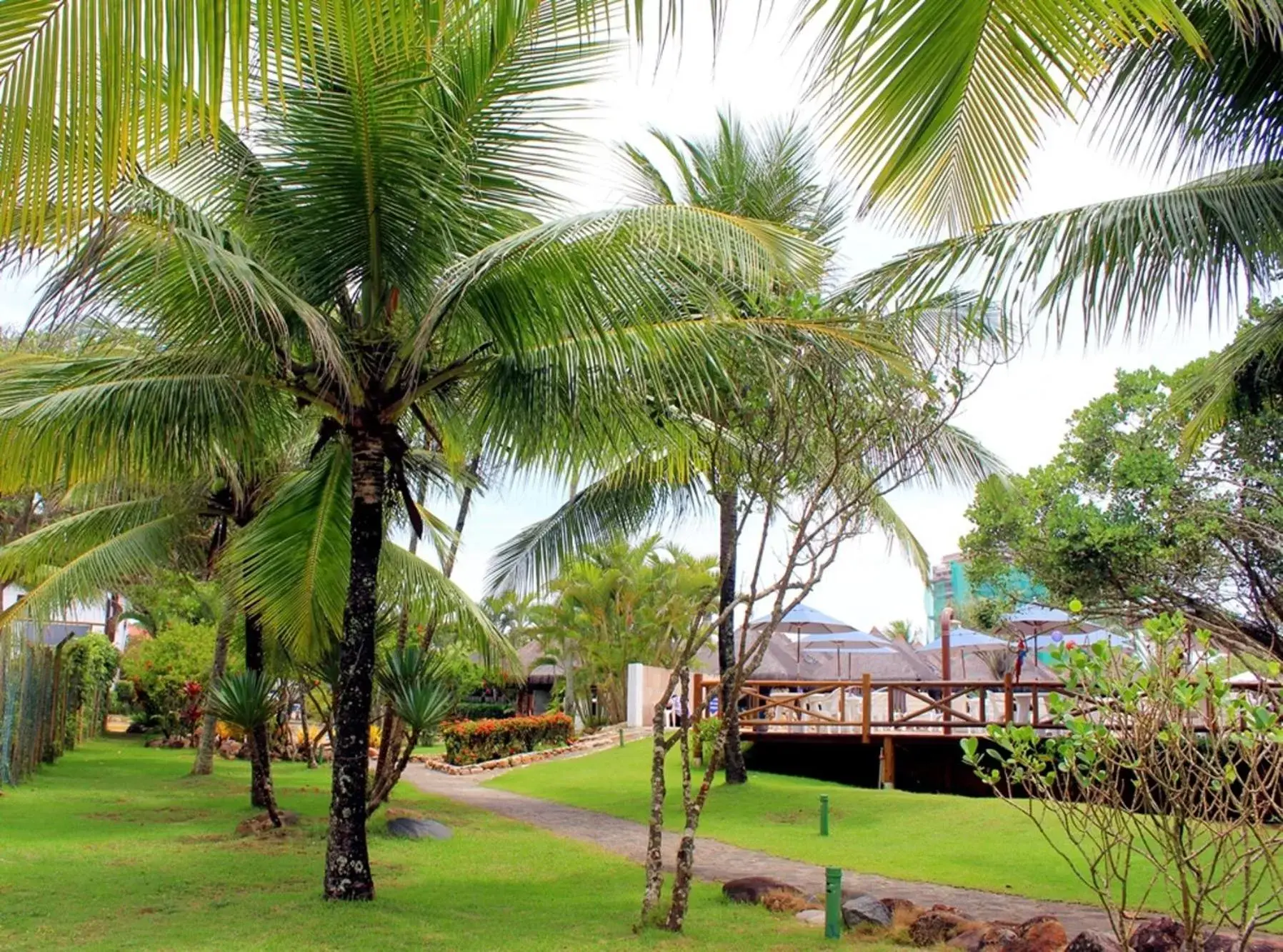 Garden in Jardim Atlântico Beach Resort