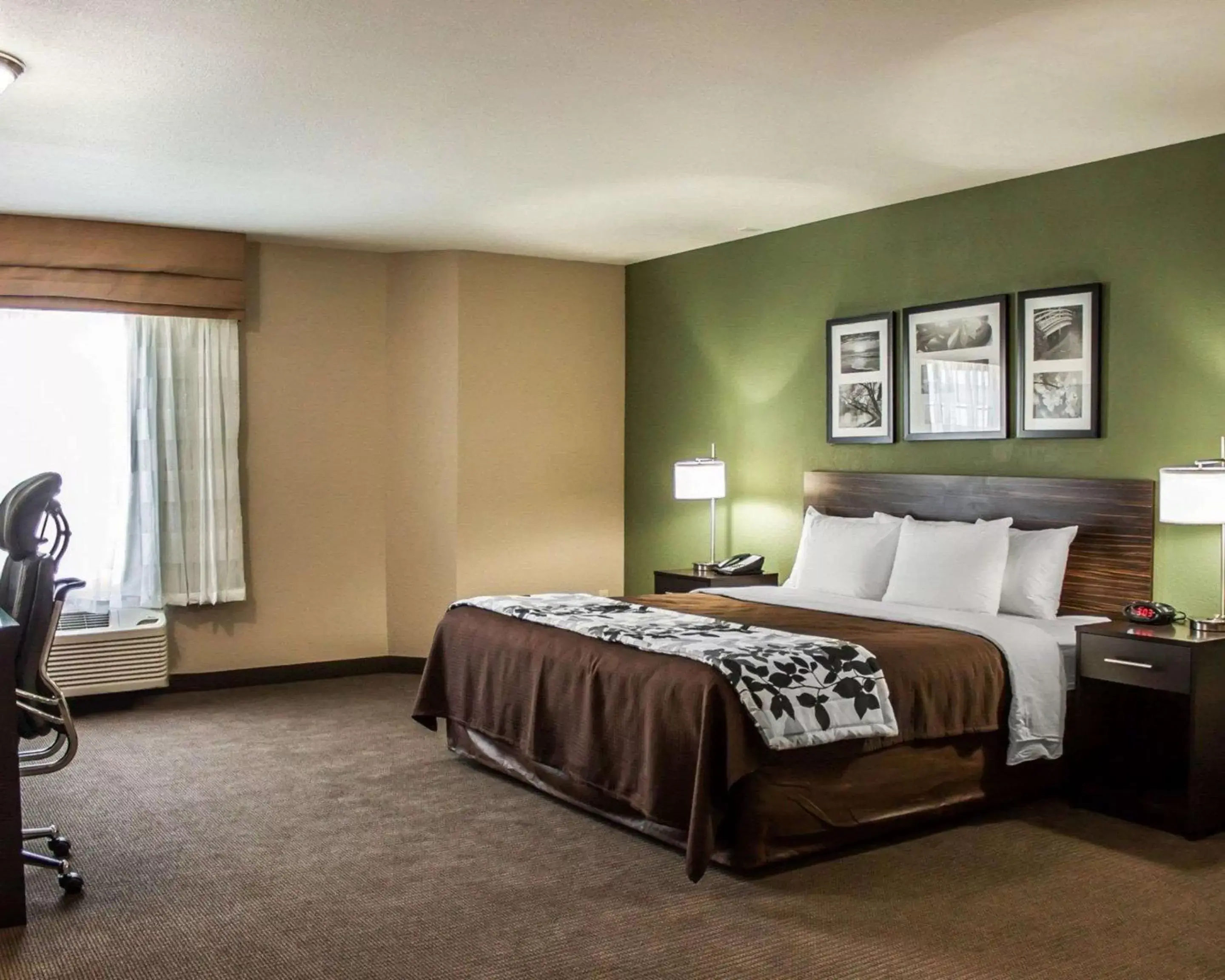 Photo of the whole room, Bed in Sleep Inn - Nampa