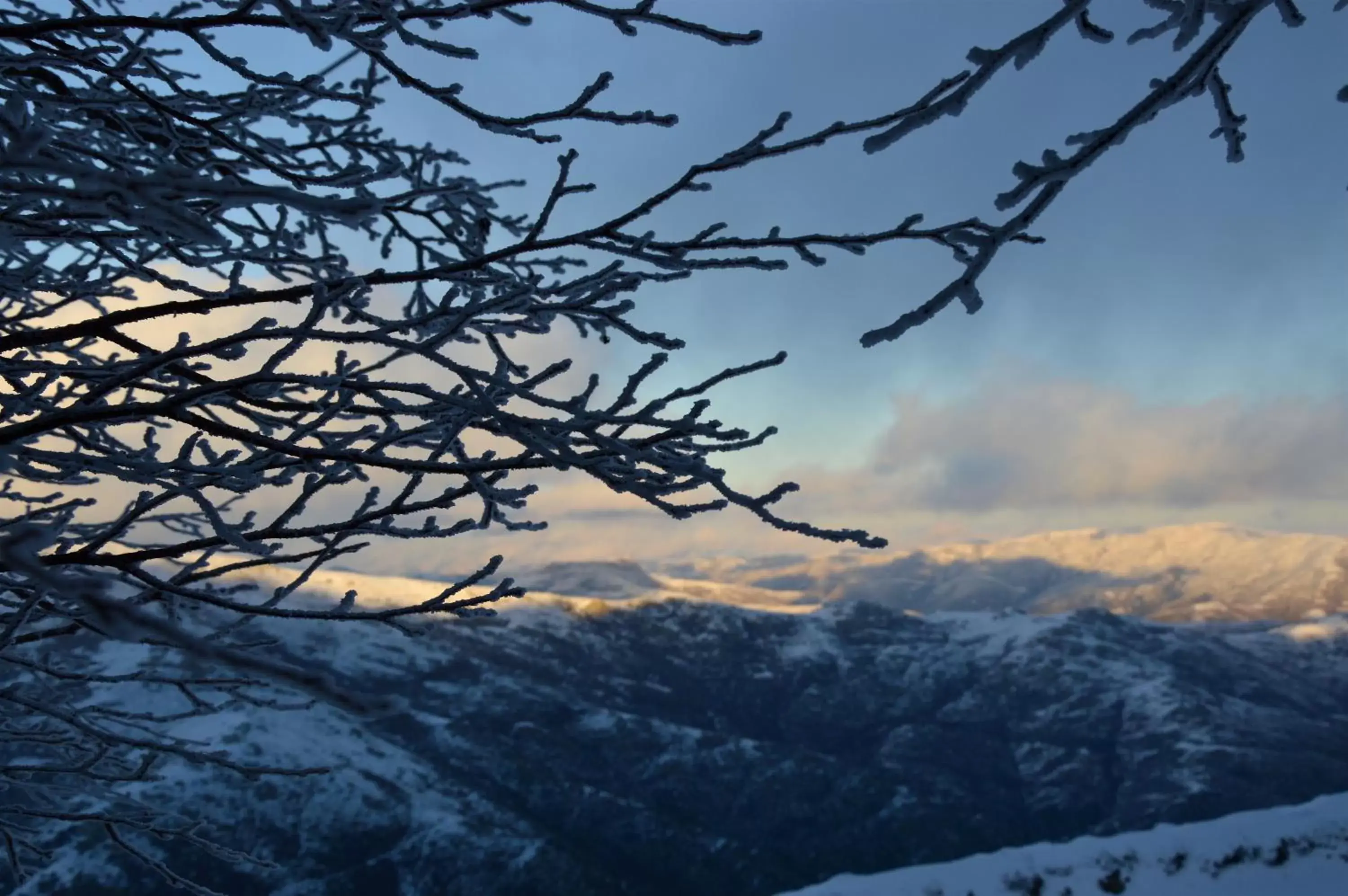 Natural landscape in B&B La Genziana