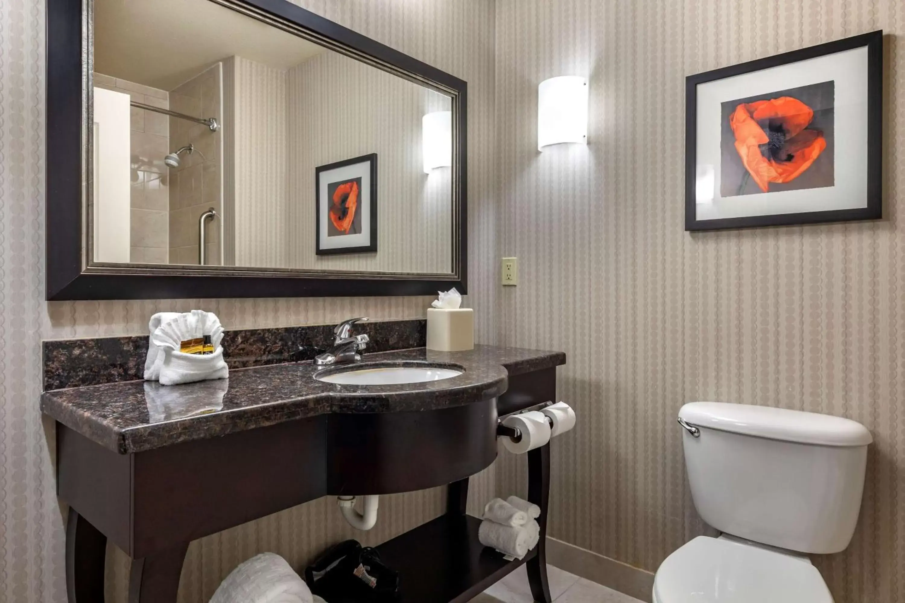Bathroom in Best Western Plus DFW Airport West Euless Bathroom in Best Western Plus DFW Airport West Euless