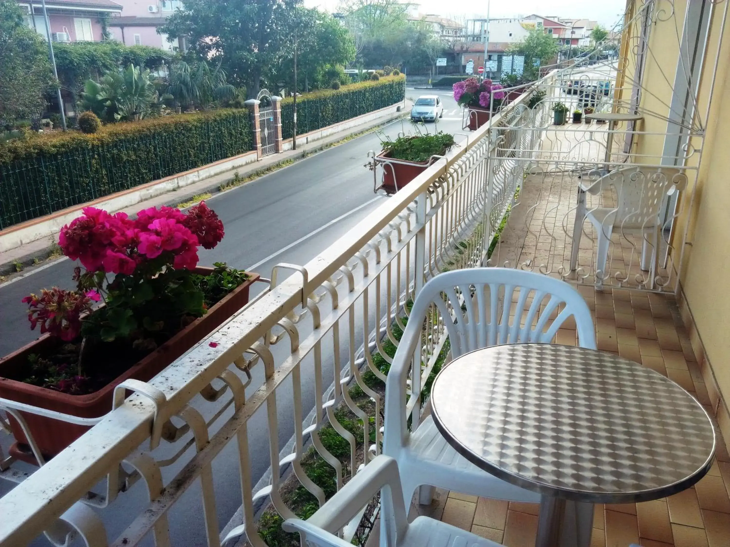 Balcony/Terrace in Hotel Eliseo