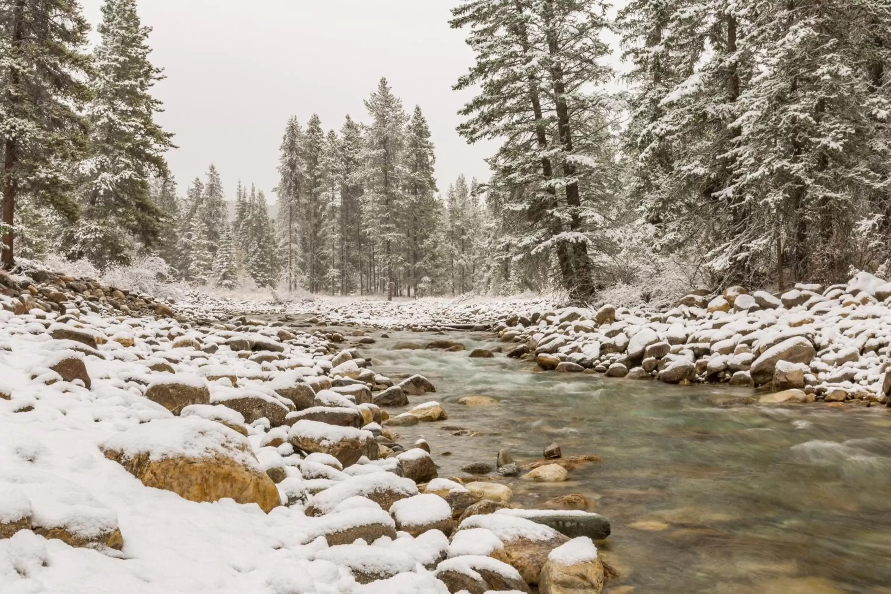 Natural landscape, Winter in Baker Creek By Basecamp