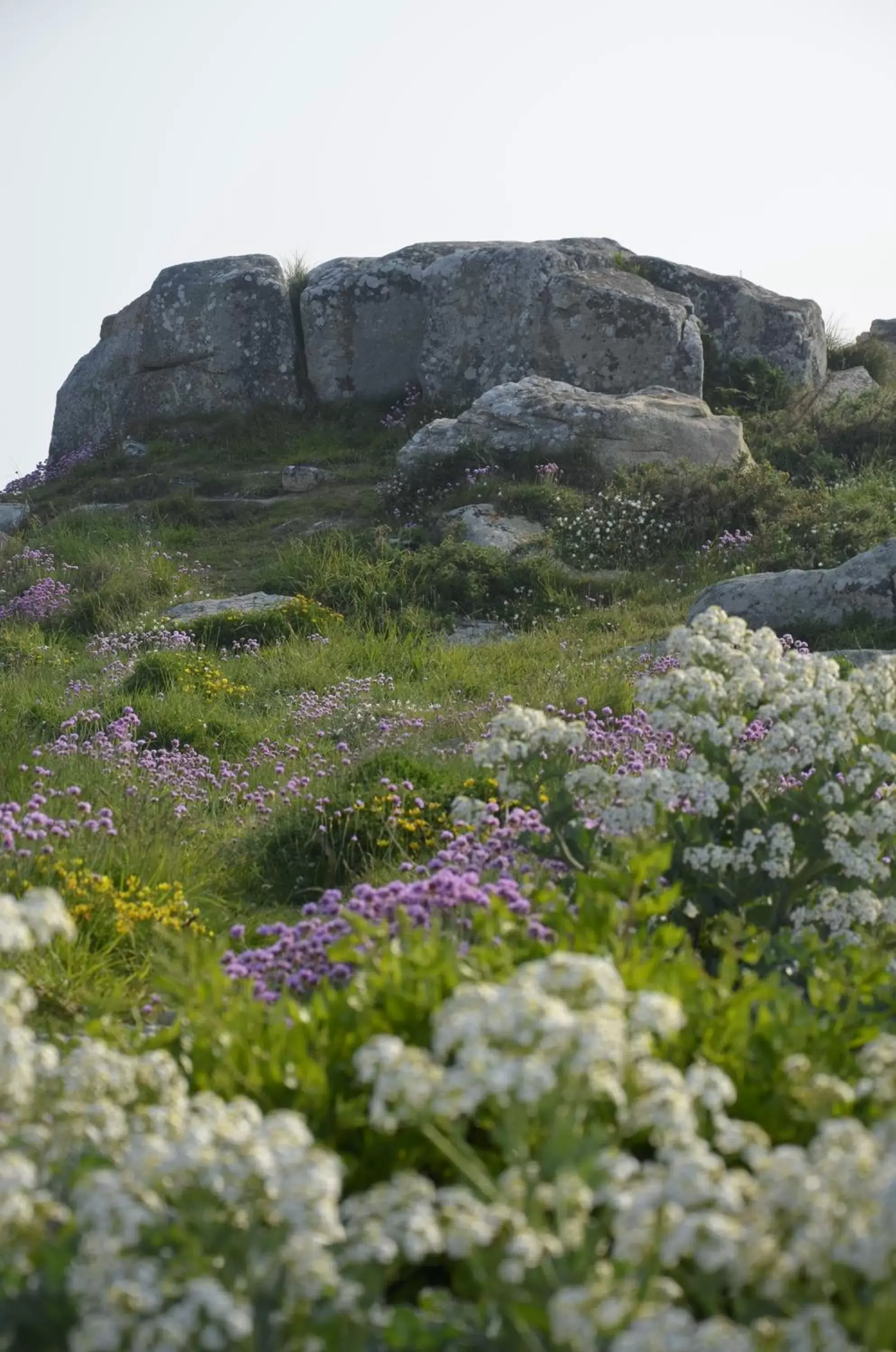 Area and facilities, Natural Landscape in Best Western Les Bains Hotel et SPA