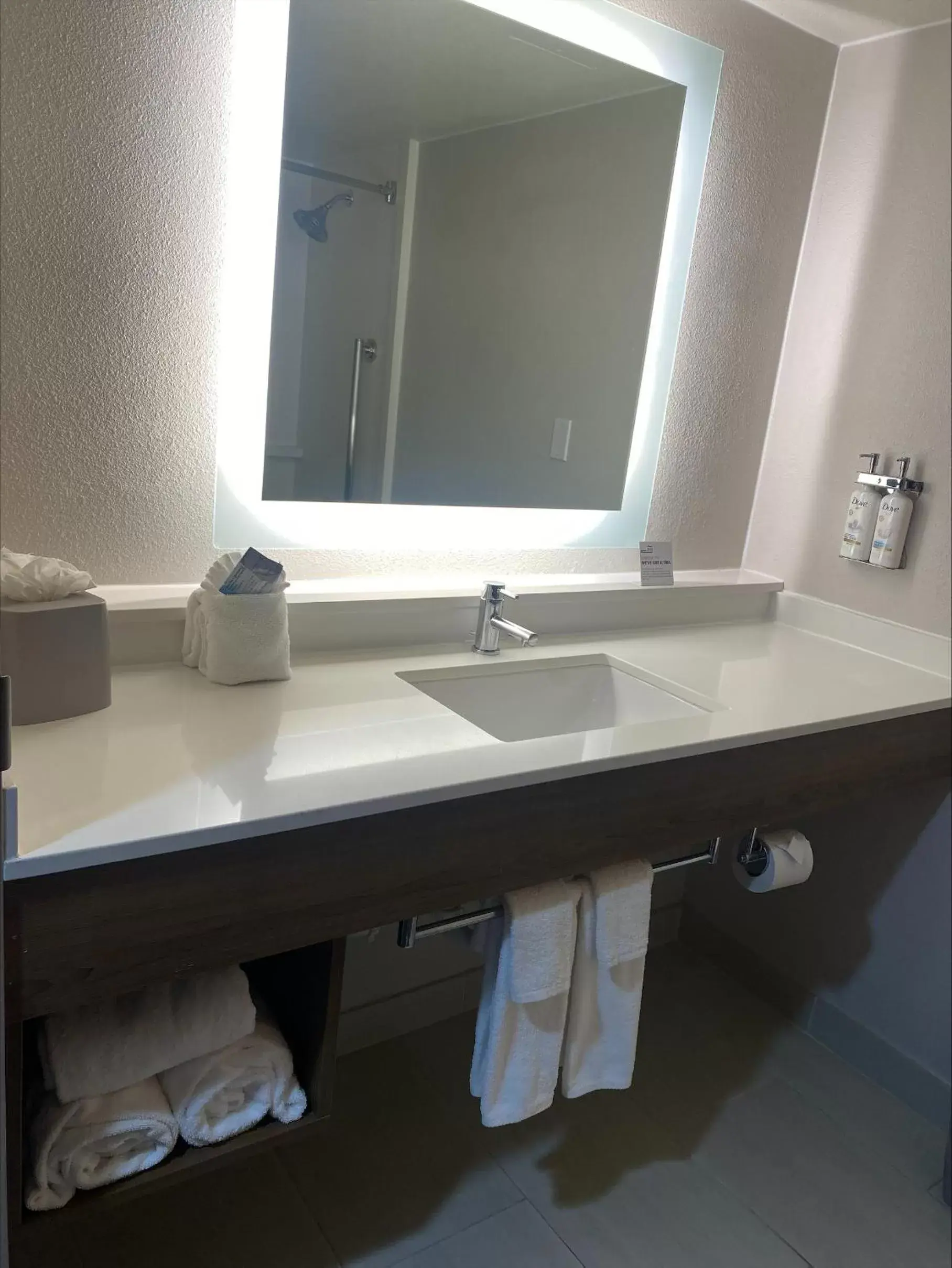 Toilet, Bathroom in Holiday Inn Express Hotel and Suites Mesquite, an IHG Hotel