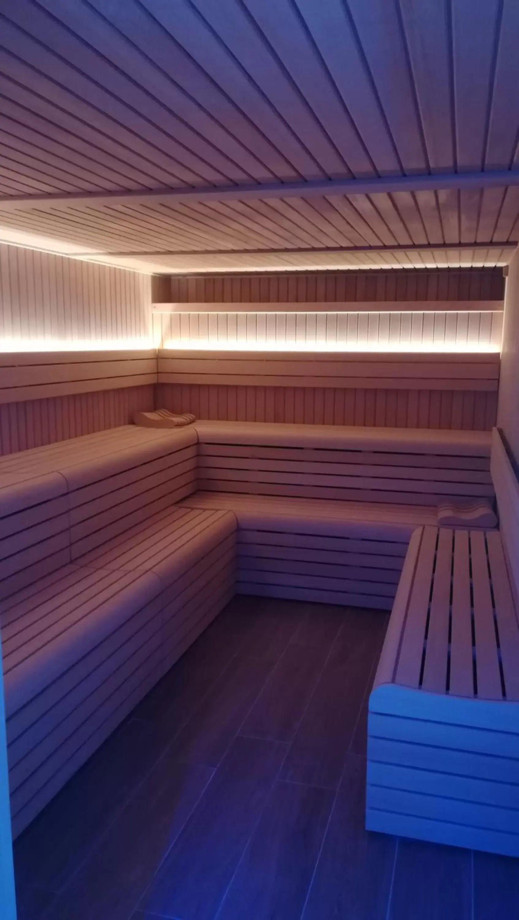 Sauna in SH Villa Gadea