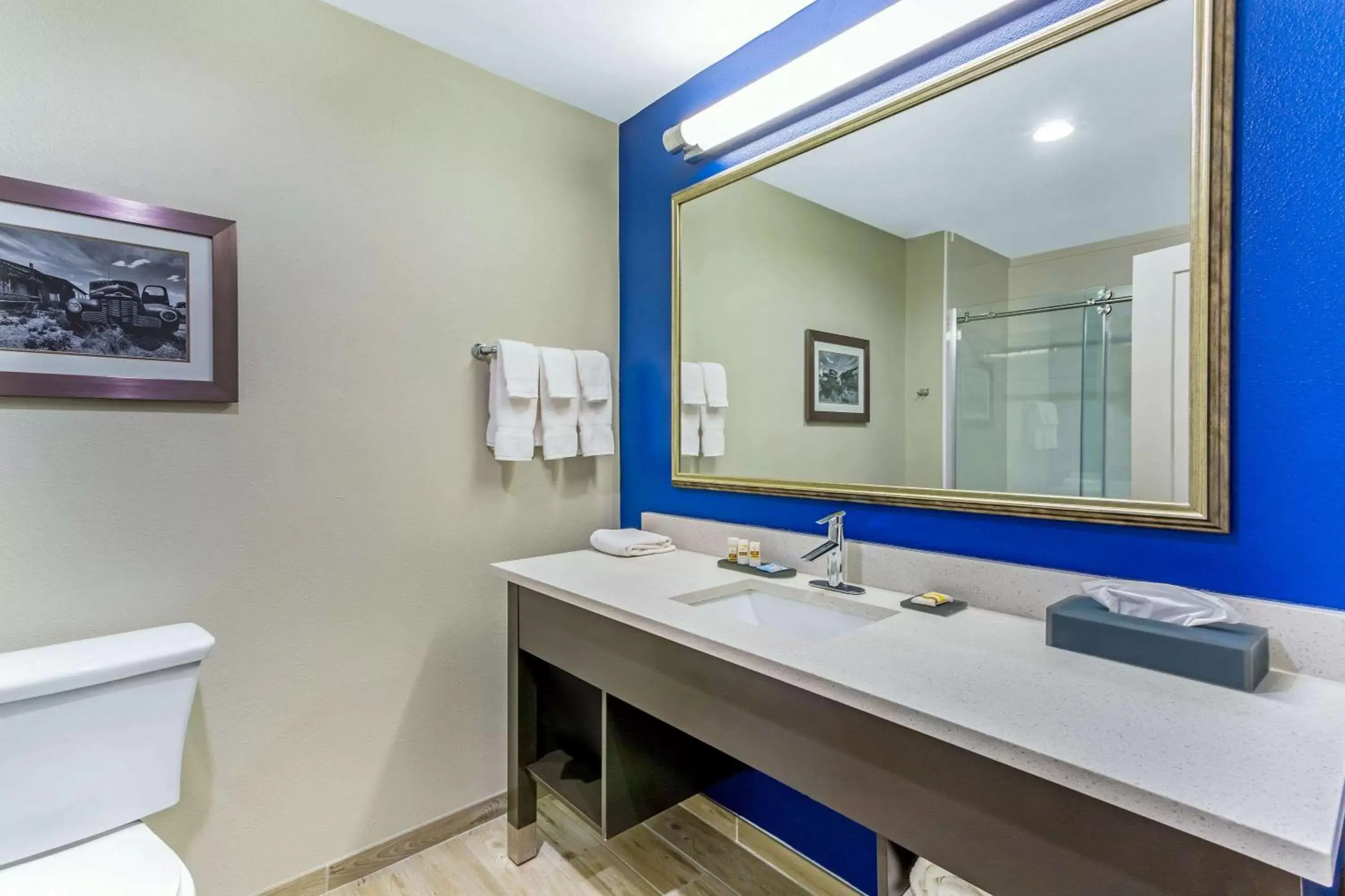 Bathroom in La Quinta by Wyndham Odessa North - Sienna Tower