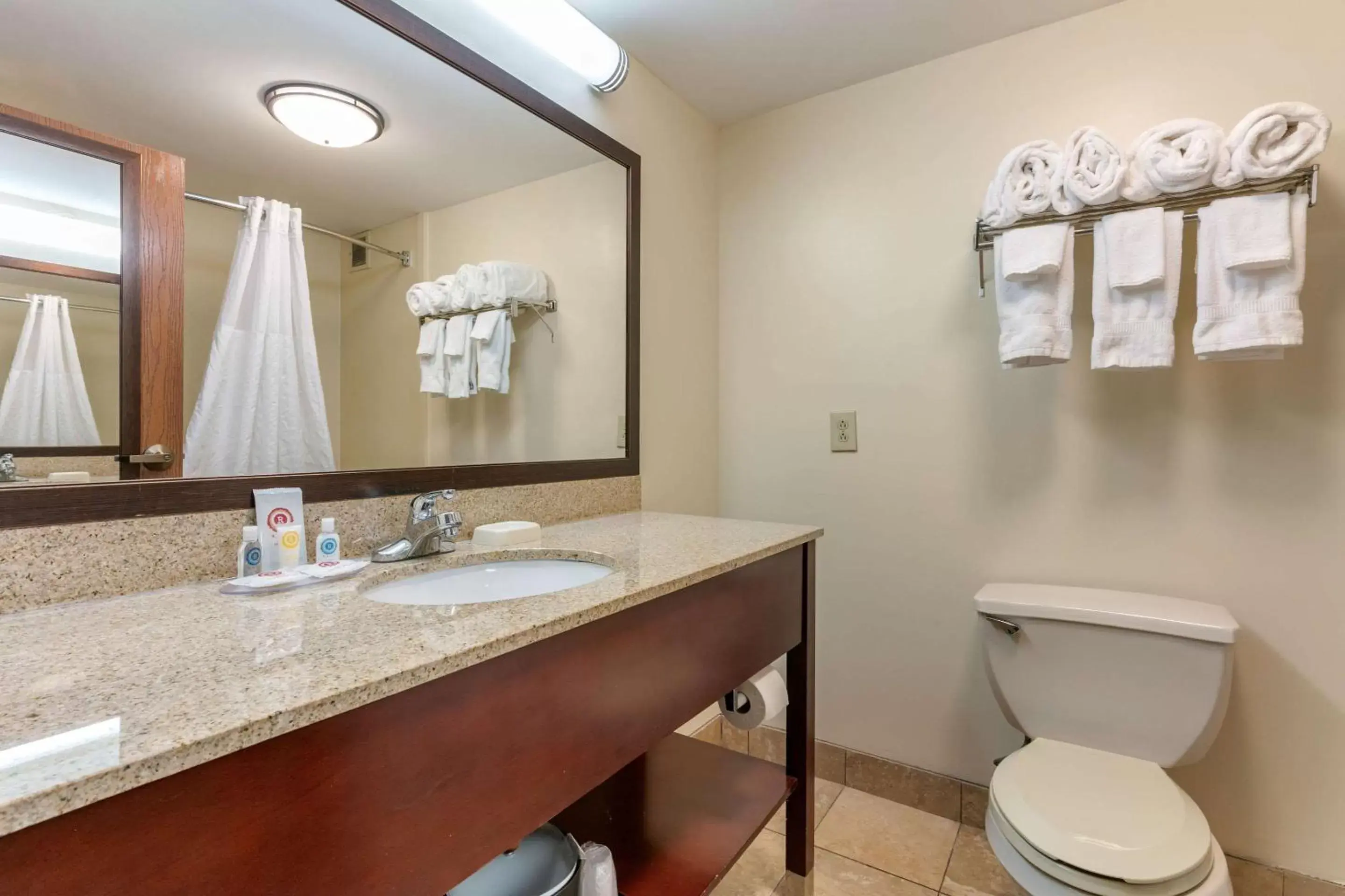 Bathroom in Comfort Inn Downtown Chattanooga