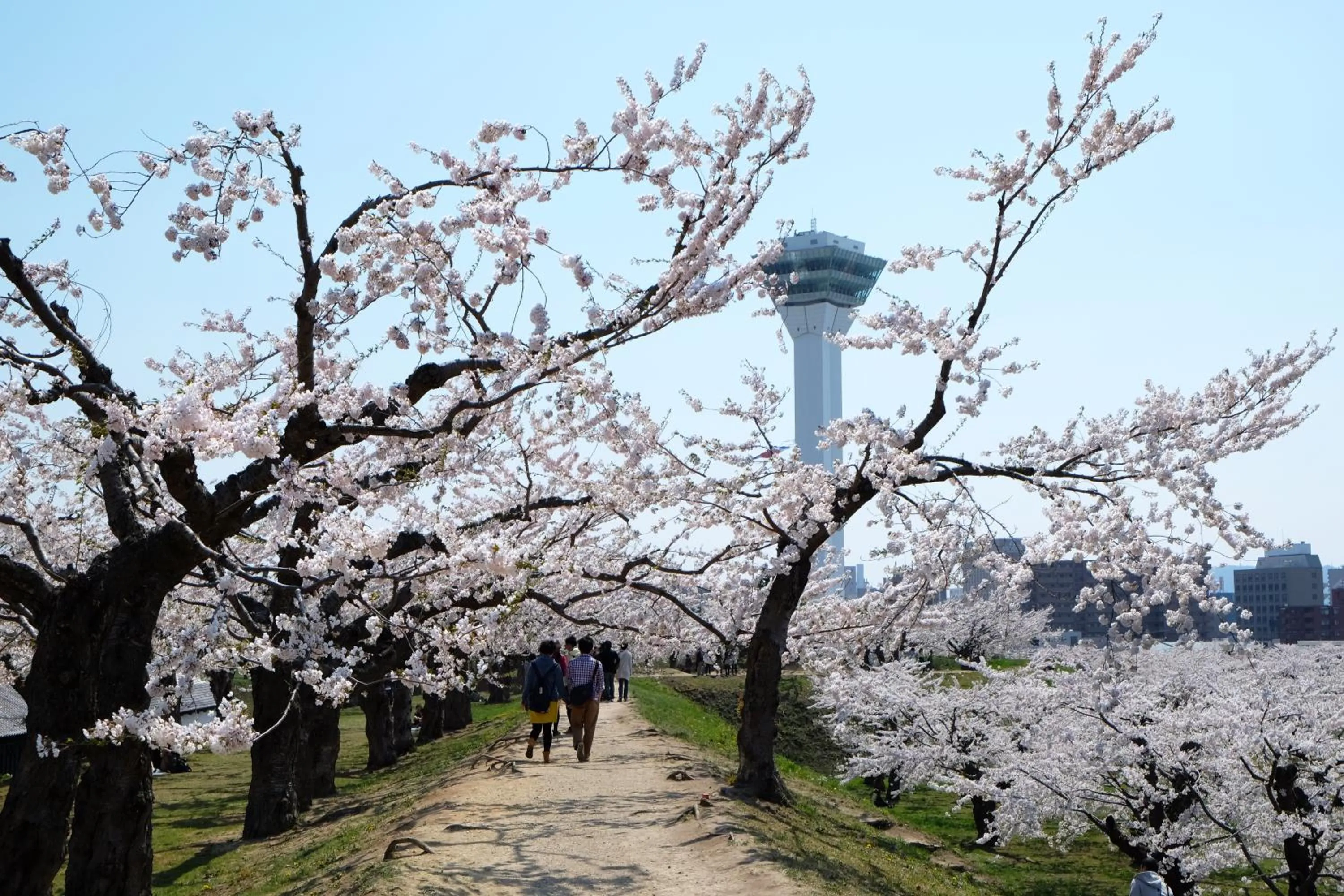 Nearby landmark in Wakamatsu Hot Spring Resort