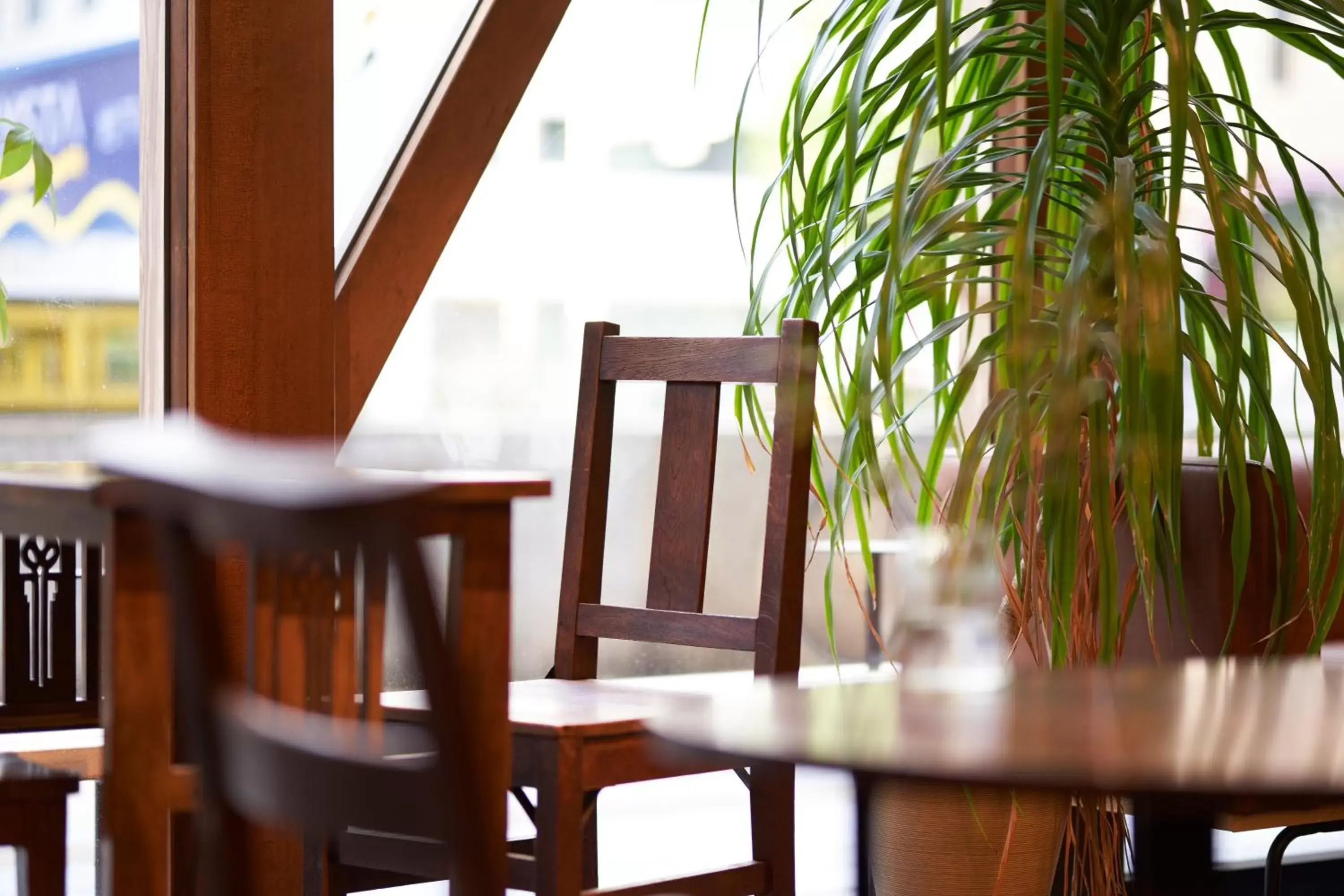 Lounge or bar, Restaurant/Places to Eat in Hotel Morning Box Osaka Shinsaibashi