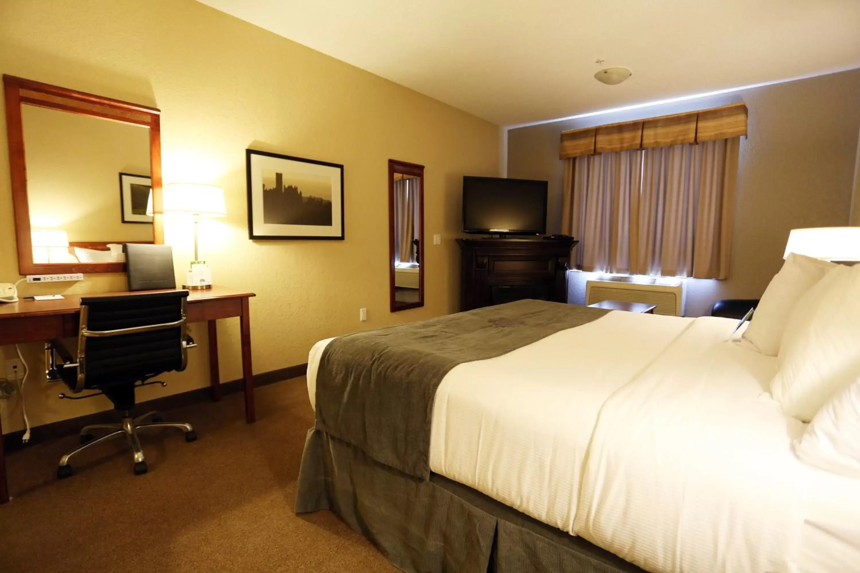 TV and multimedia, Bed in Lakeview Inns & Suites - Fort Nelson