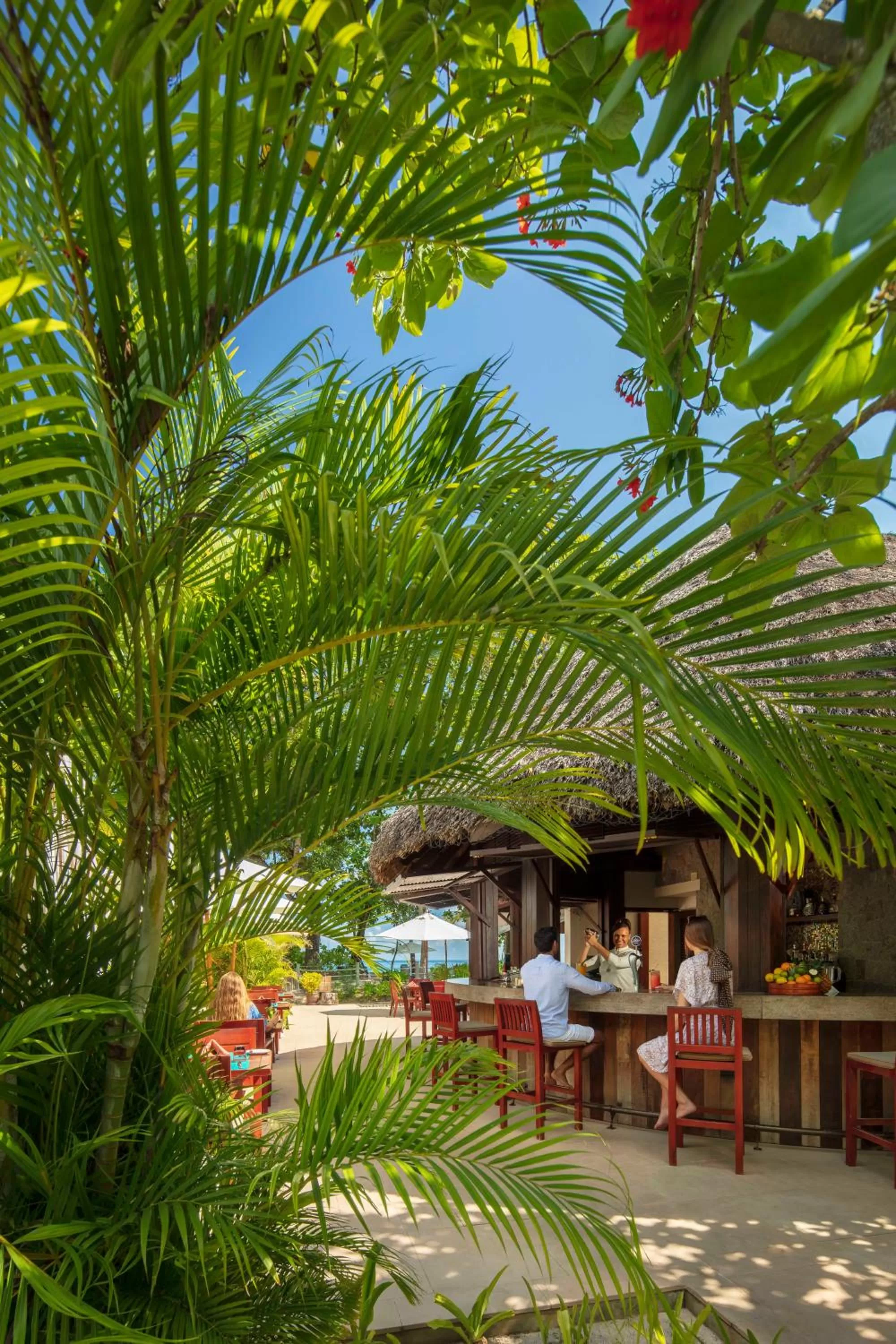 Restaurant/places to eat in STORY Seychelles