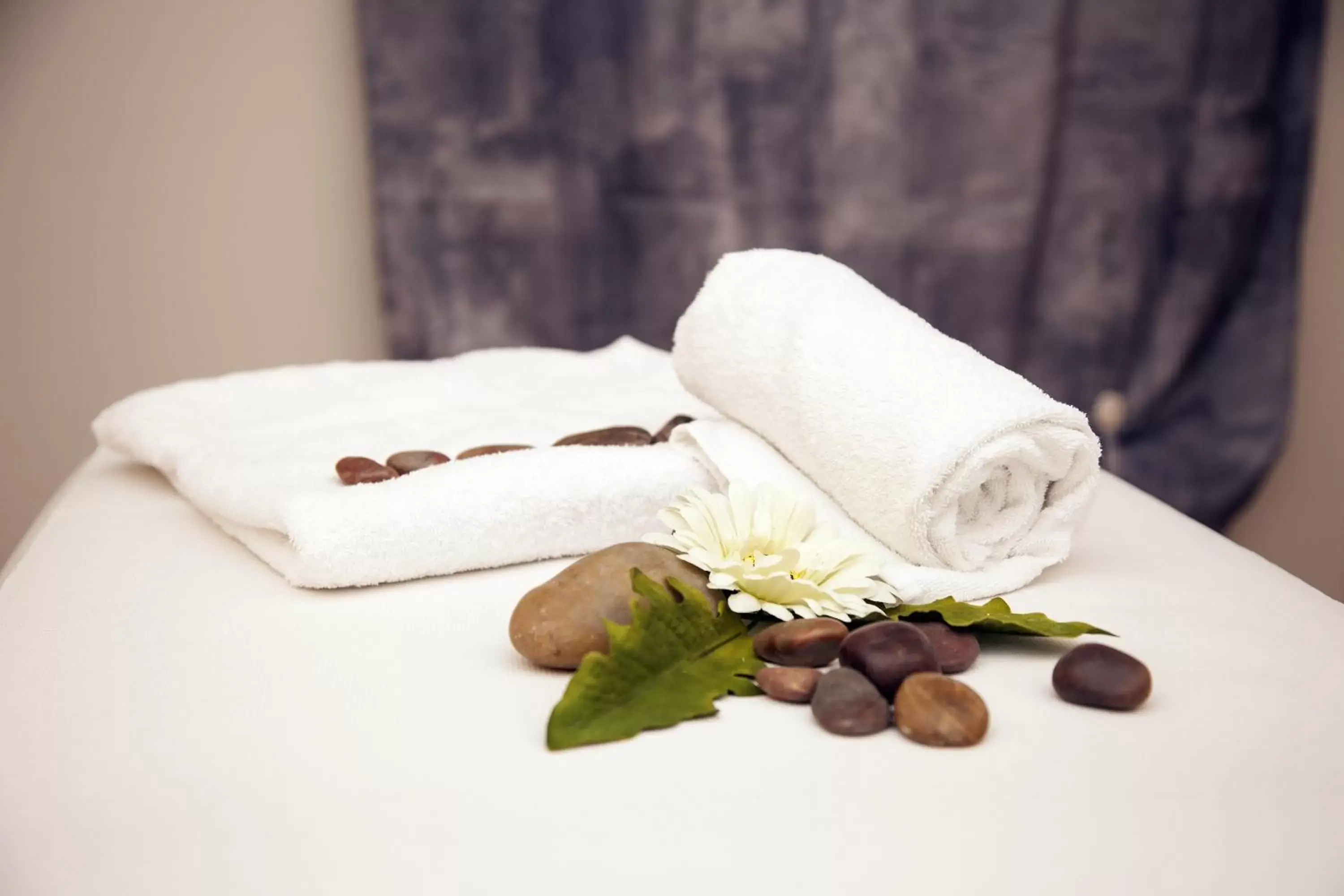 Massage in Aparthotel Wellness Villa di Bosco