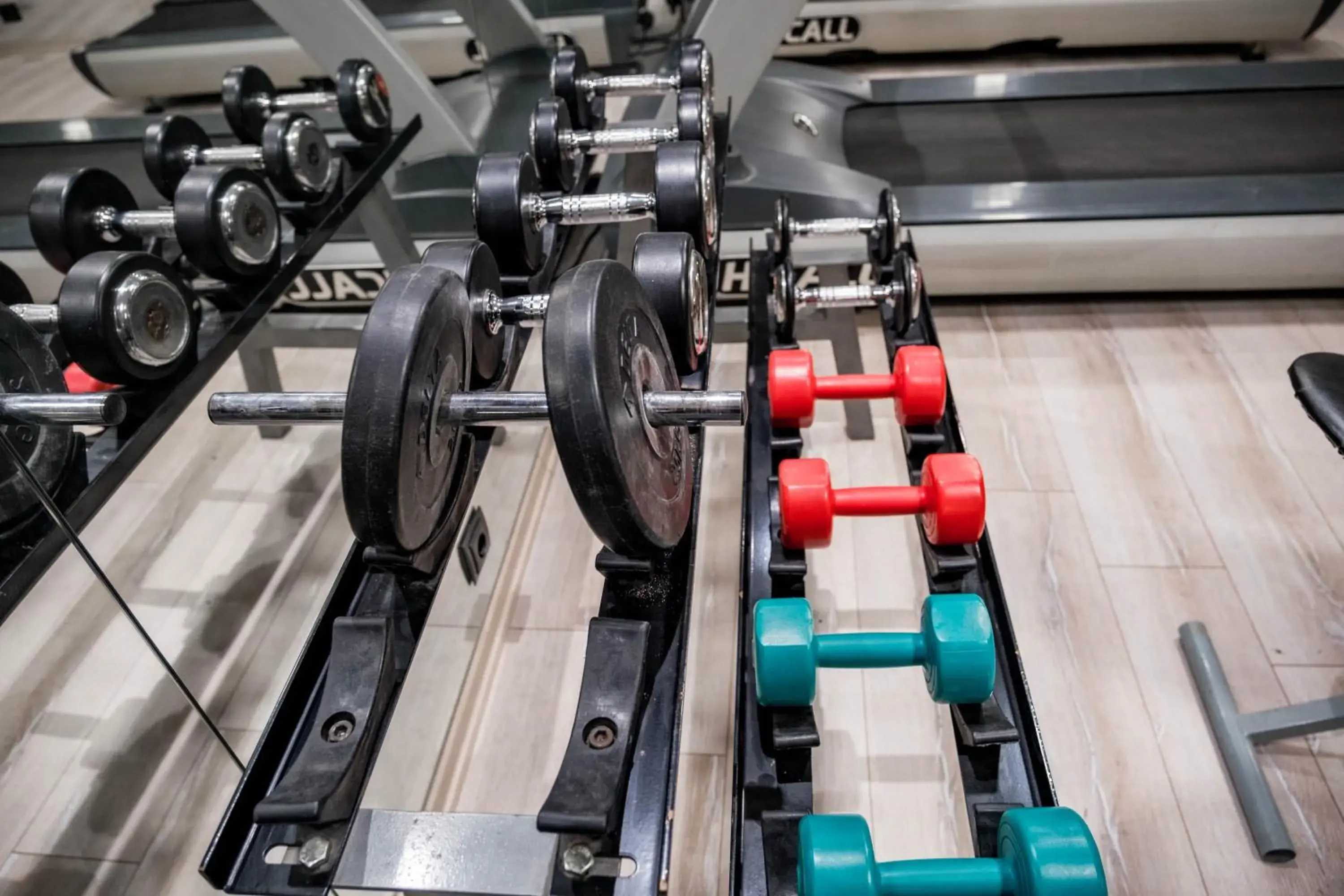 Fitness centre/facilities, Fitness Center/Facilities in Selcuk Hotel Sems-i Tebrizi