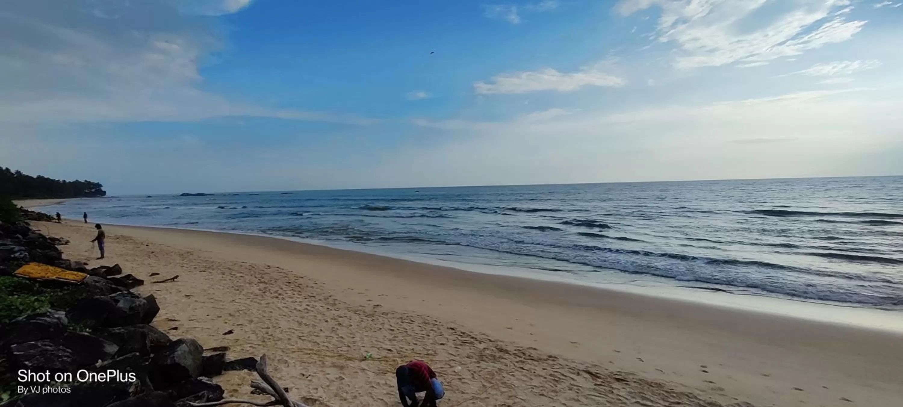 Beach in White Shell
