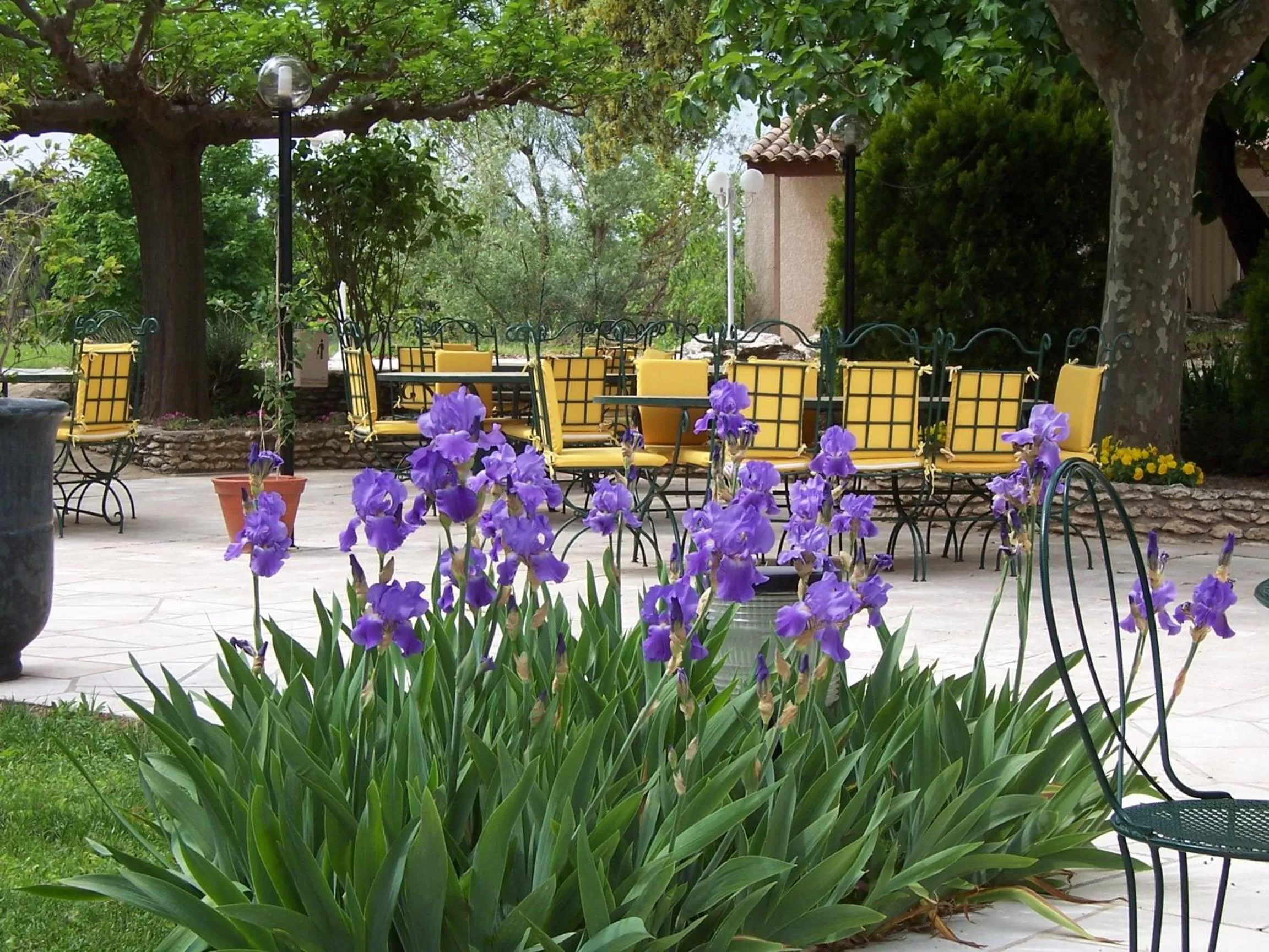 Garden in Best Western Le Val Majour