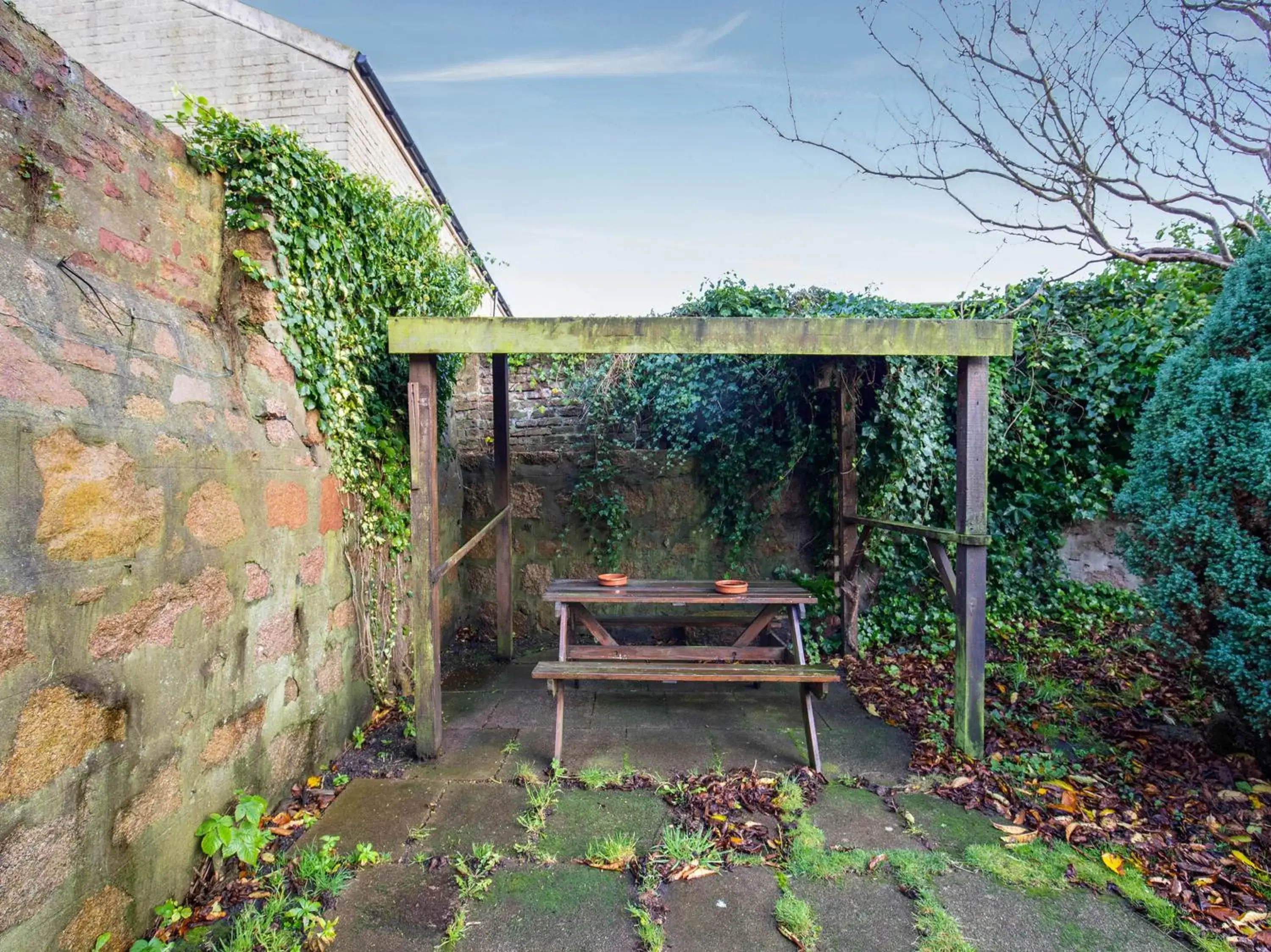 Garden in Lost Guest House Peterhead