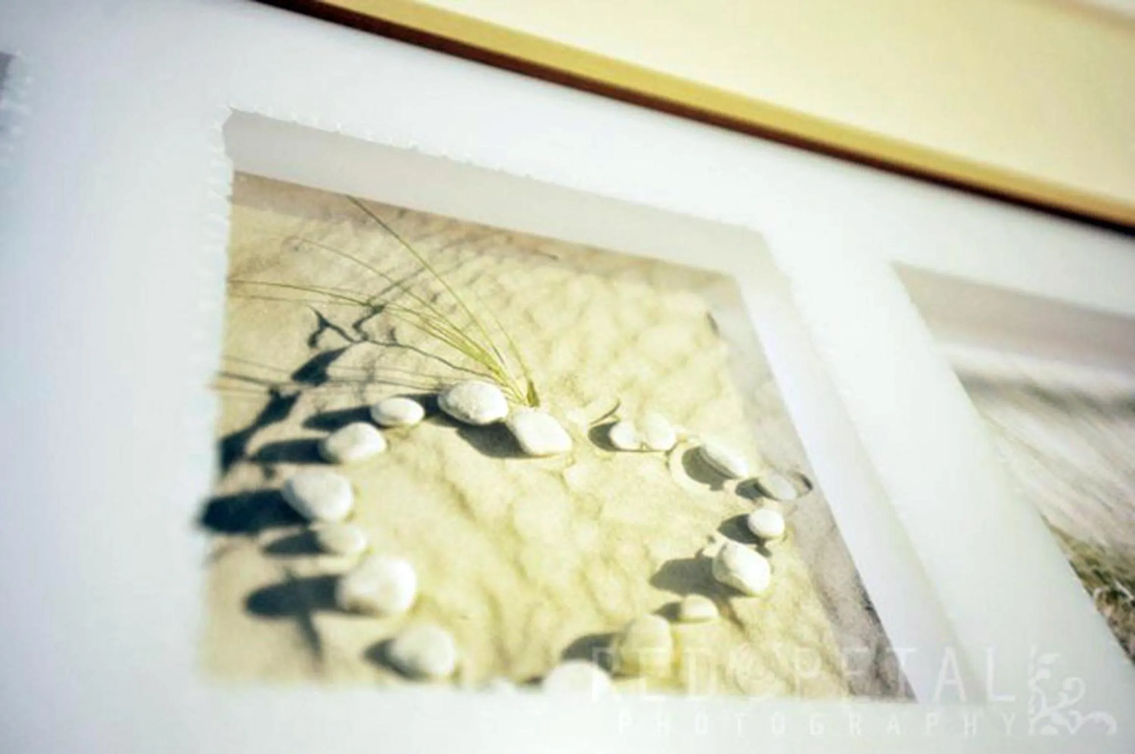 Decorative detail in Elmwood Hotel