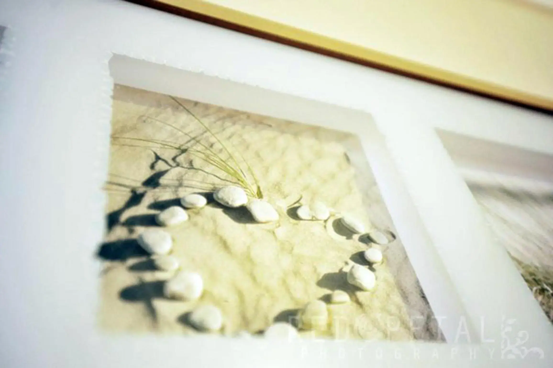 Decorative detail in Elmwood Hotel Decorative detail in Elmwood Hotel