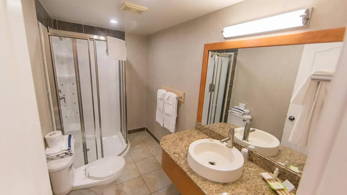 Shower, Bathroom in Mount Robson Inn