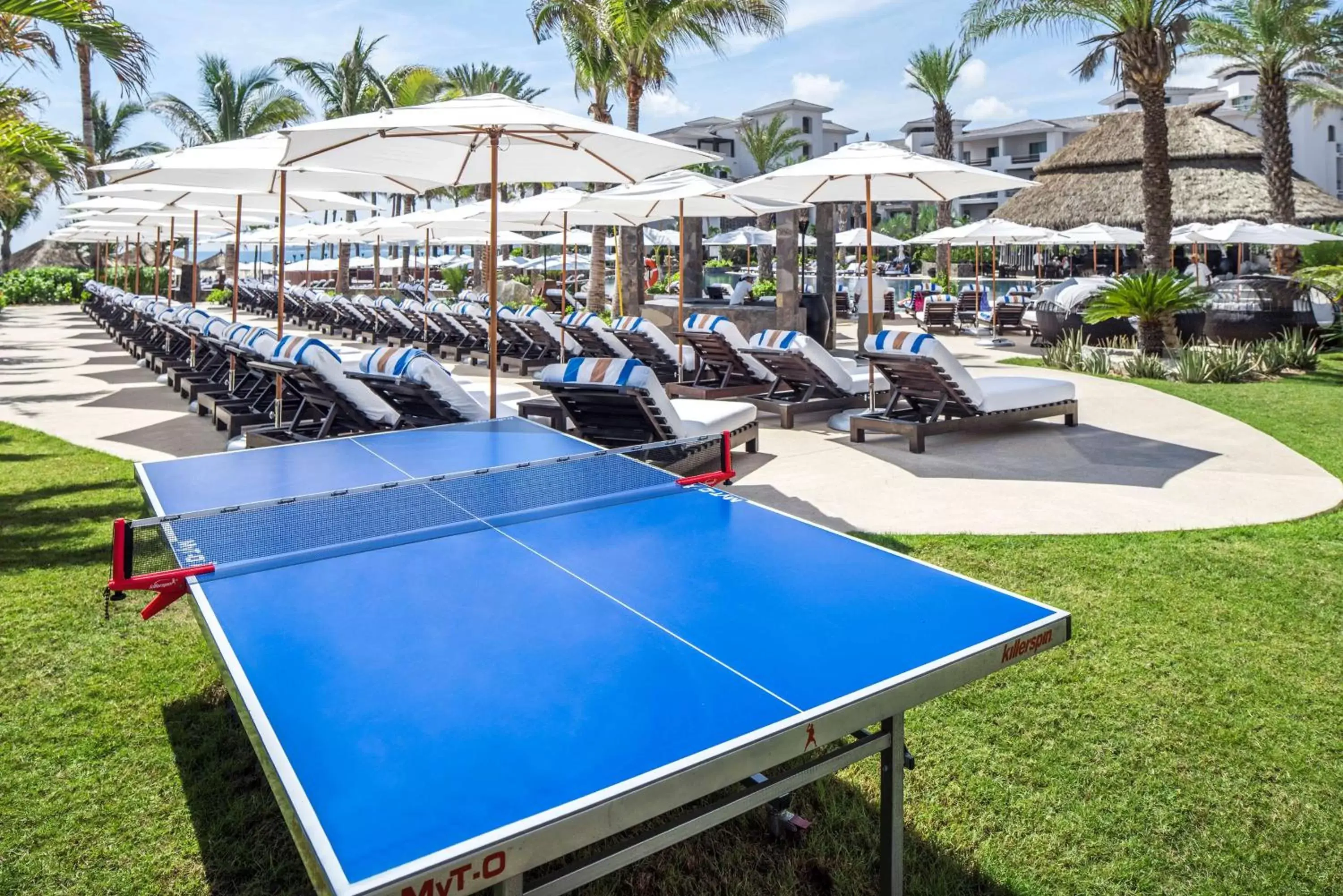 Sports, Table Tennis in Hilton Vacation Club Cabo Azul Los Cabos