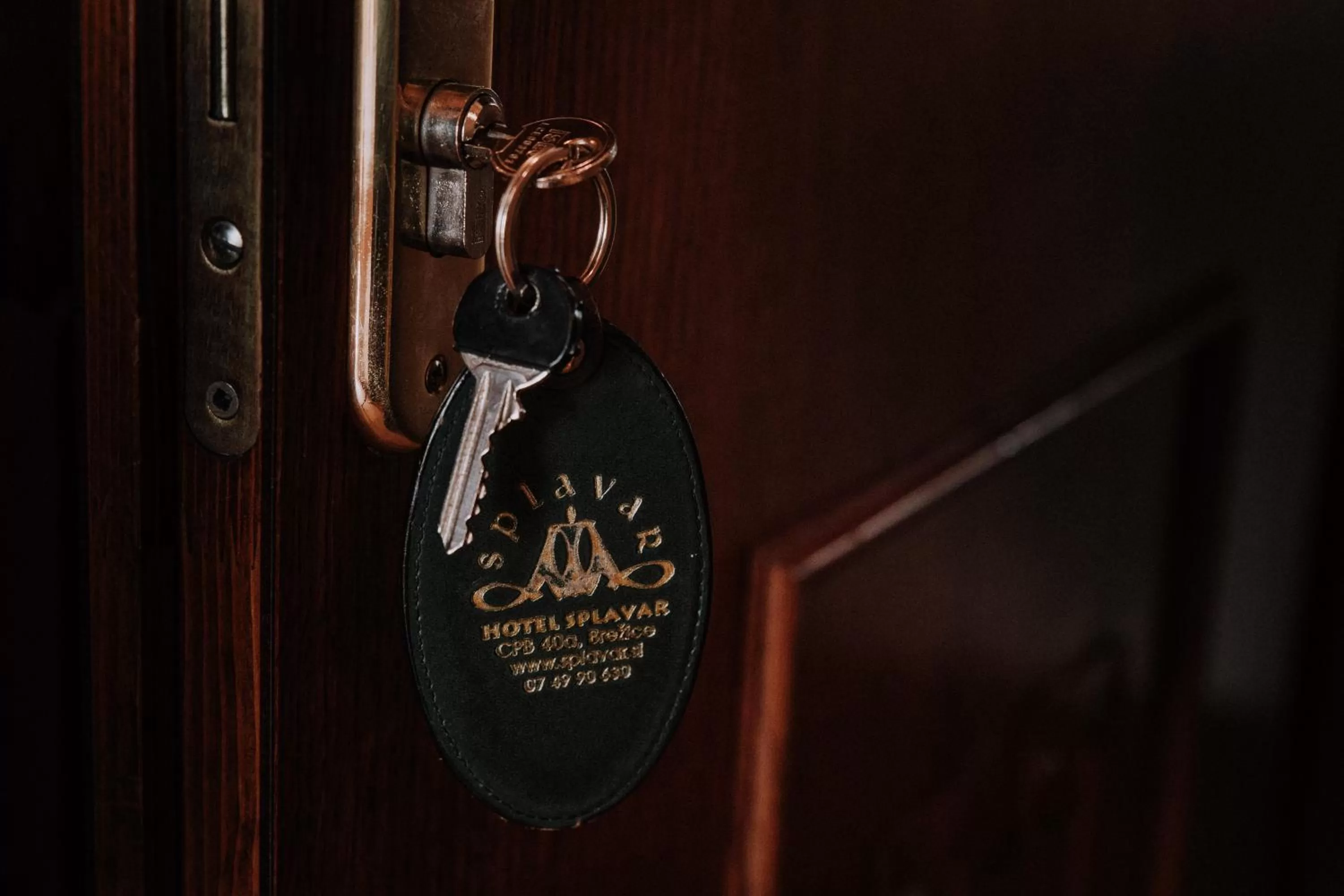 Decorative detail in Splavar Rooms